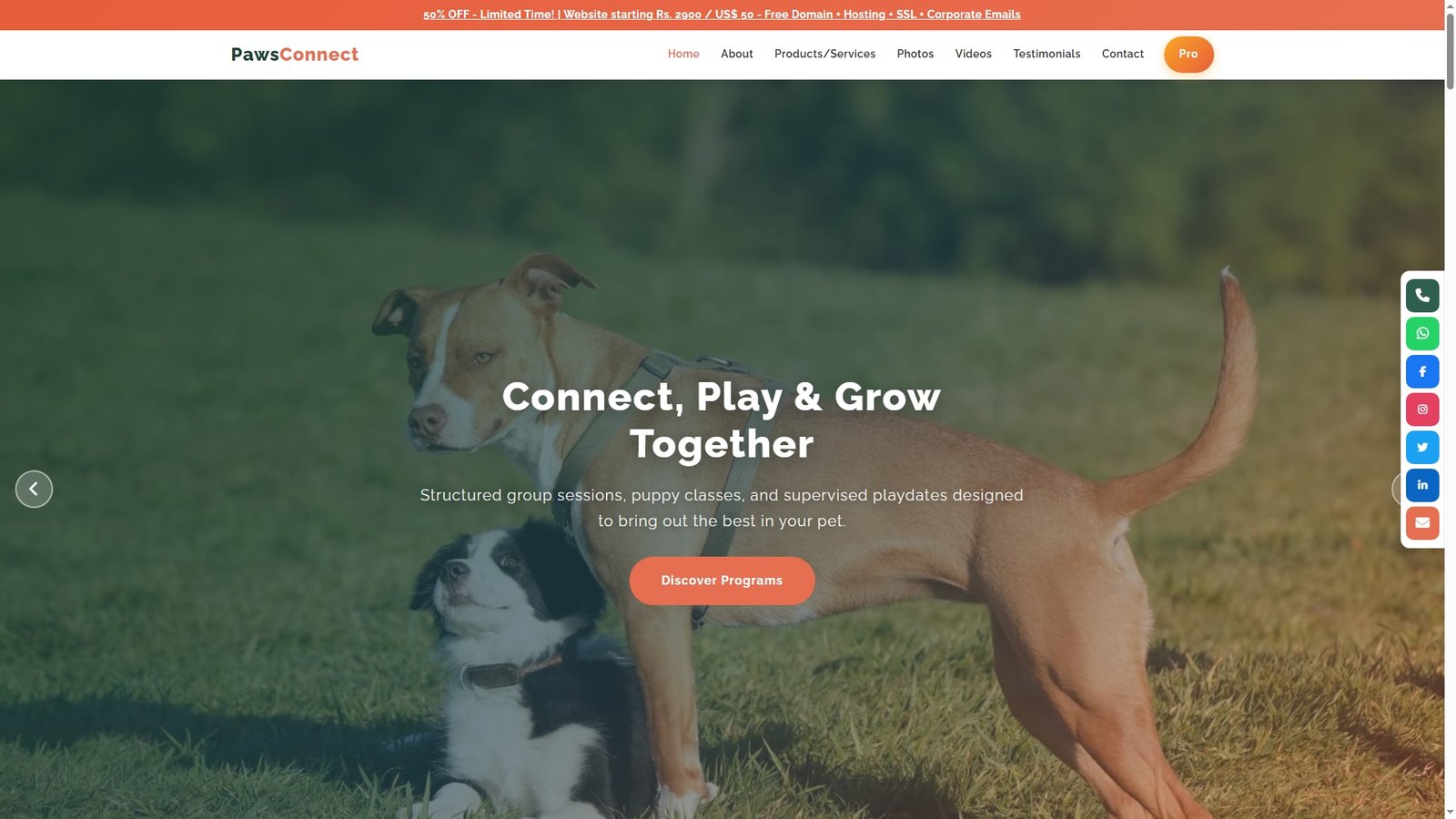 Pet Socialization Programs