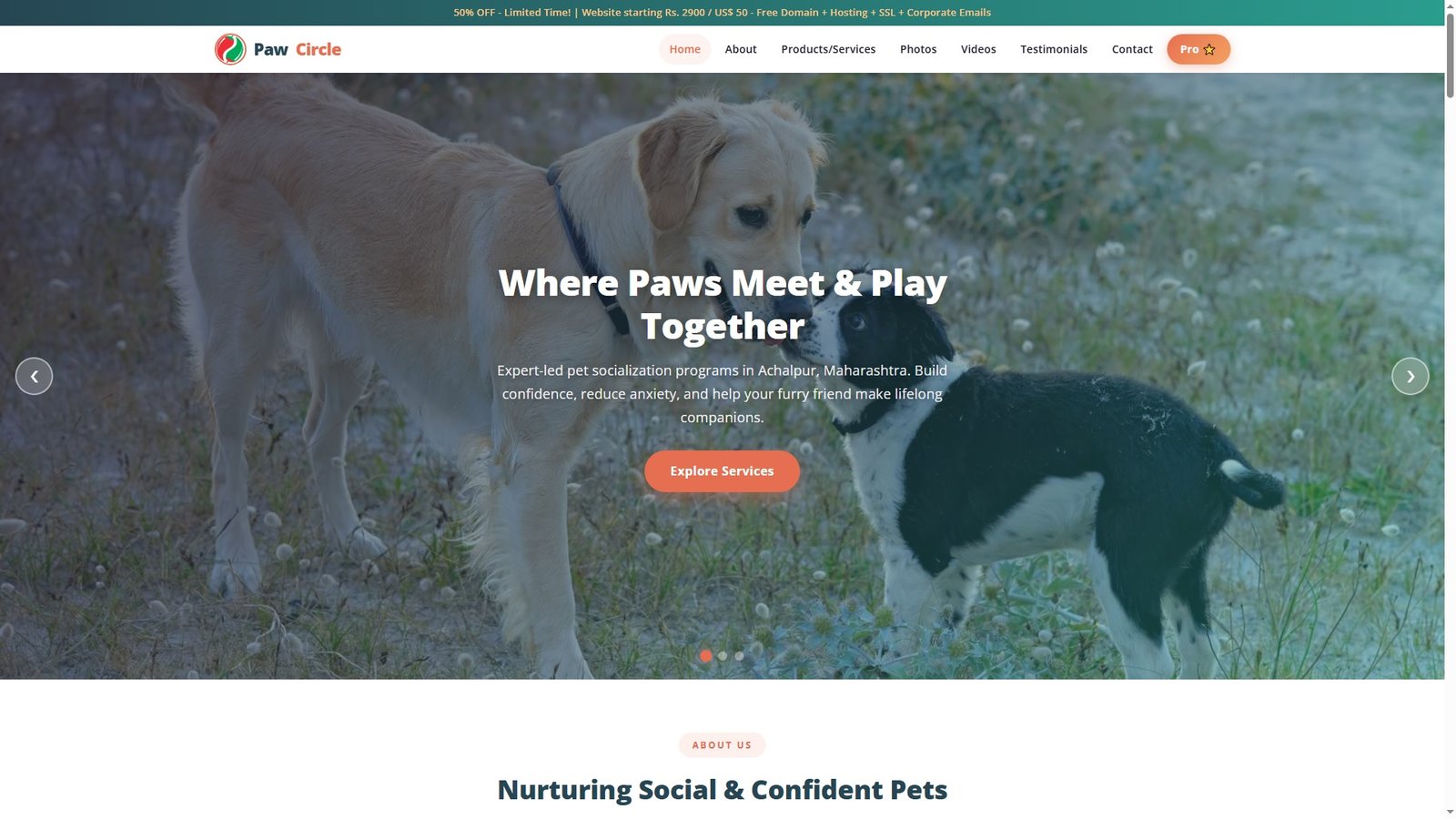 Pet Socialization Programs
