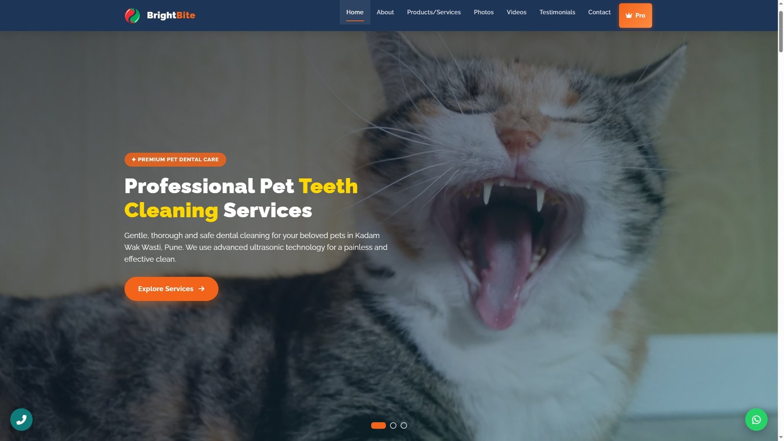 Pet Teeth Cleaning Services