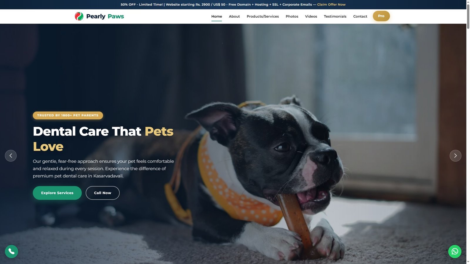 Pet Teeth Cleaning Services
