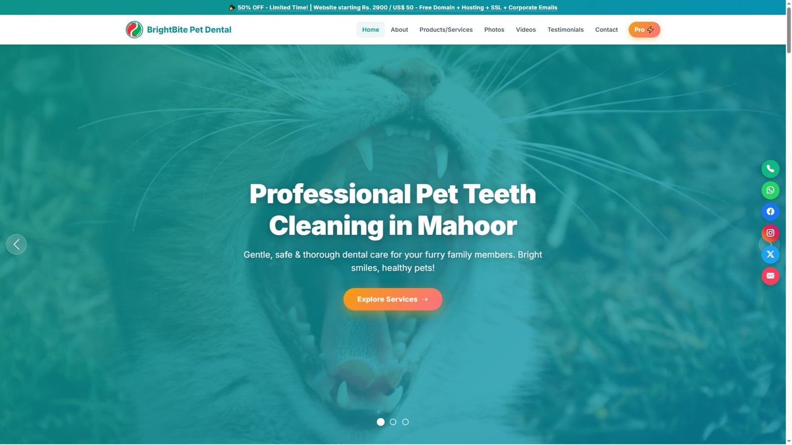 Pet Teeth Cleaning Services
