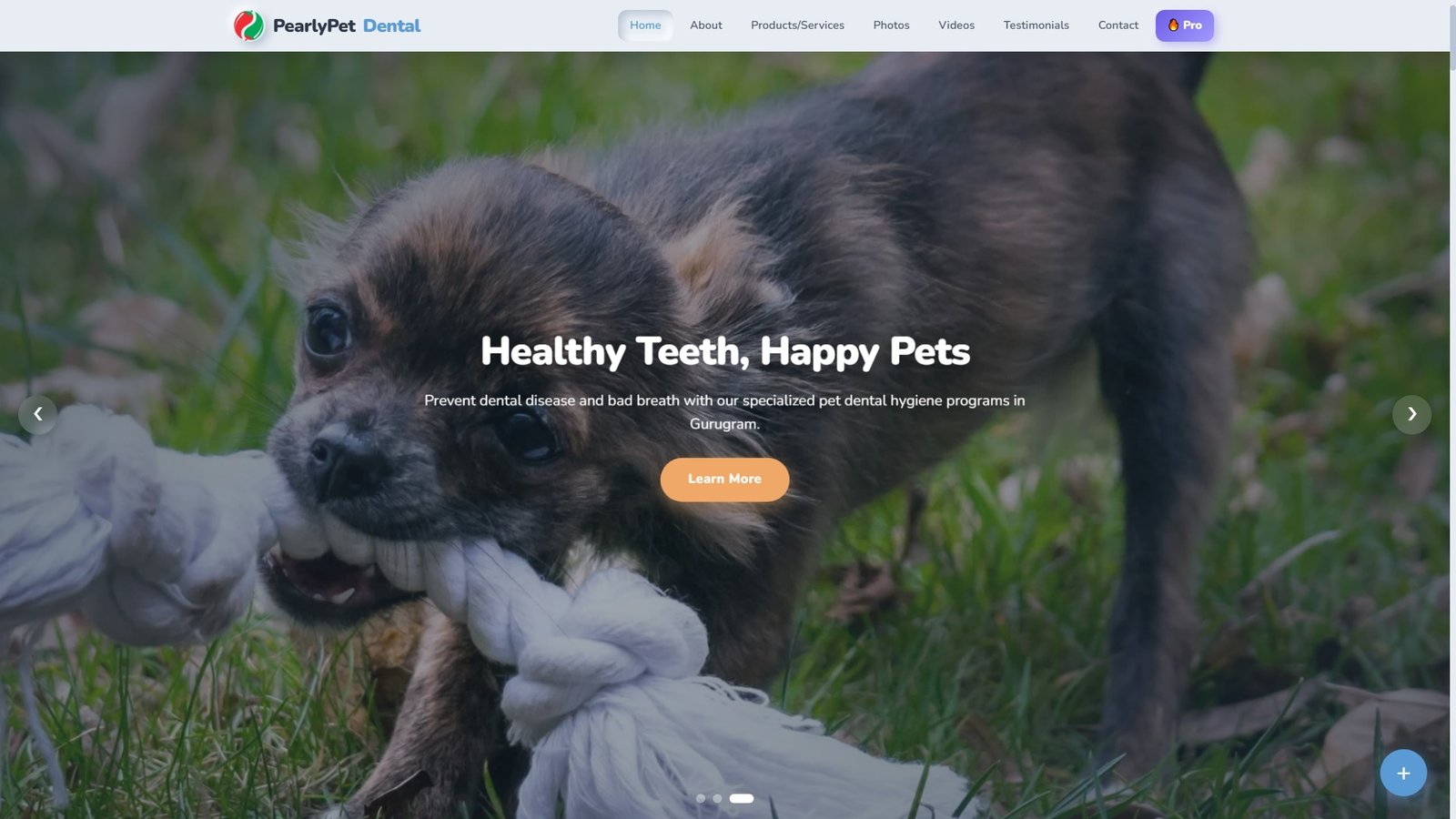 Pet Teeth Cleaning Services