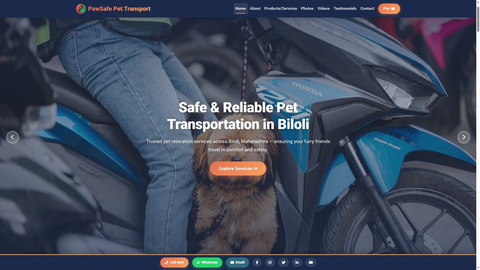 Pet Transportation Services
