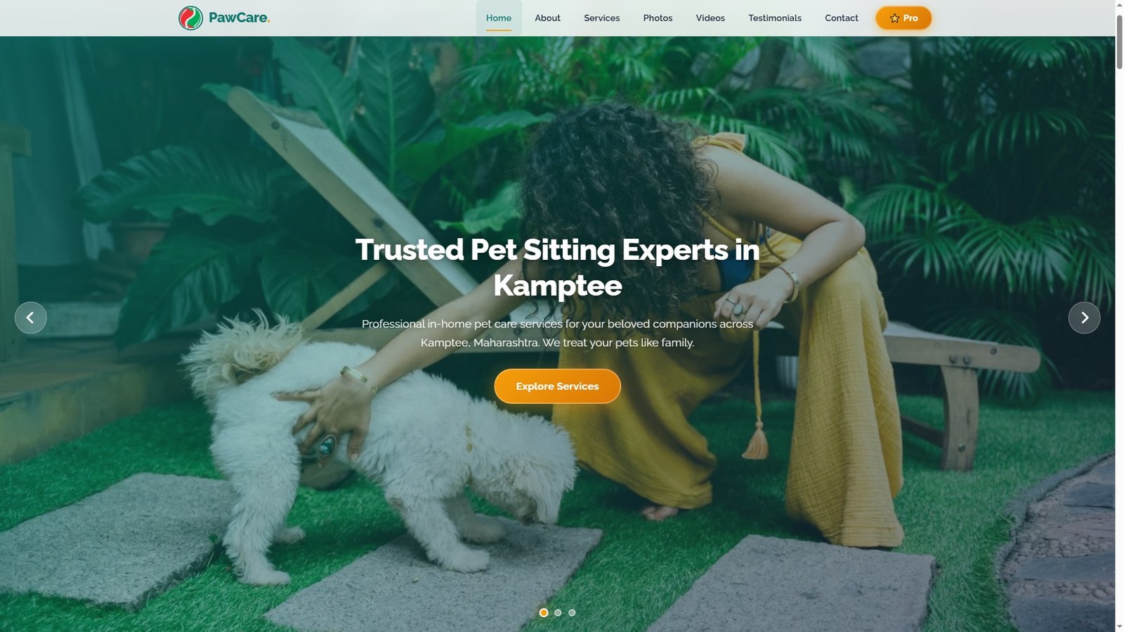 Professional Pet Sitting Agencies