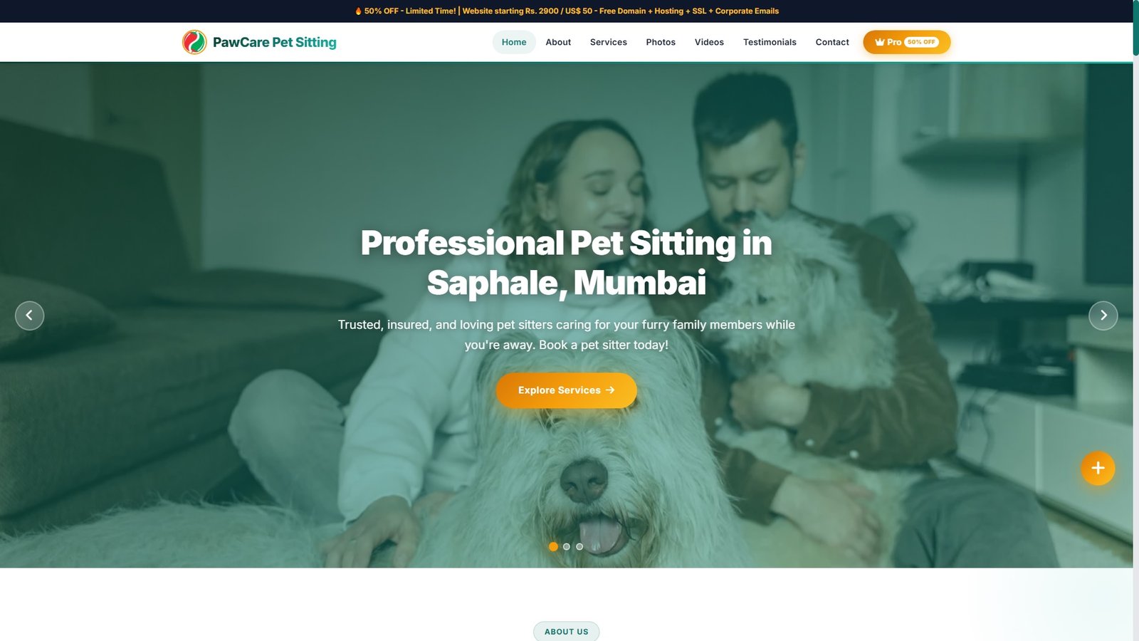 Professional Pet Sitting Agencies