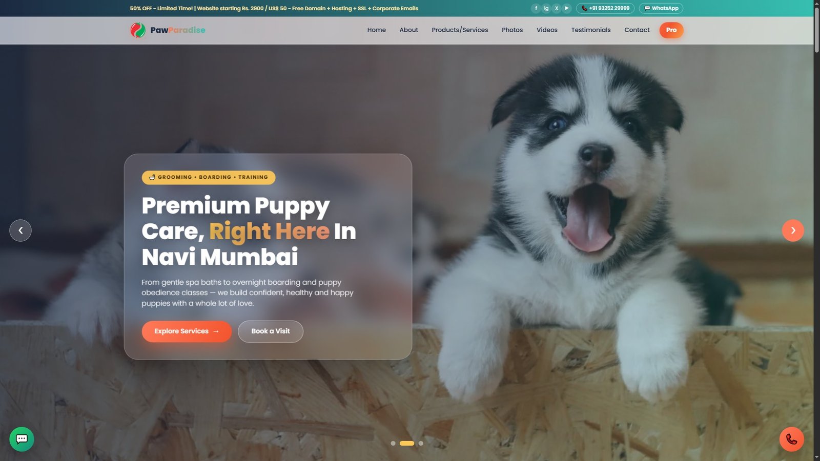 Puppy Daycare