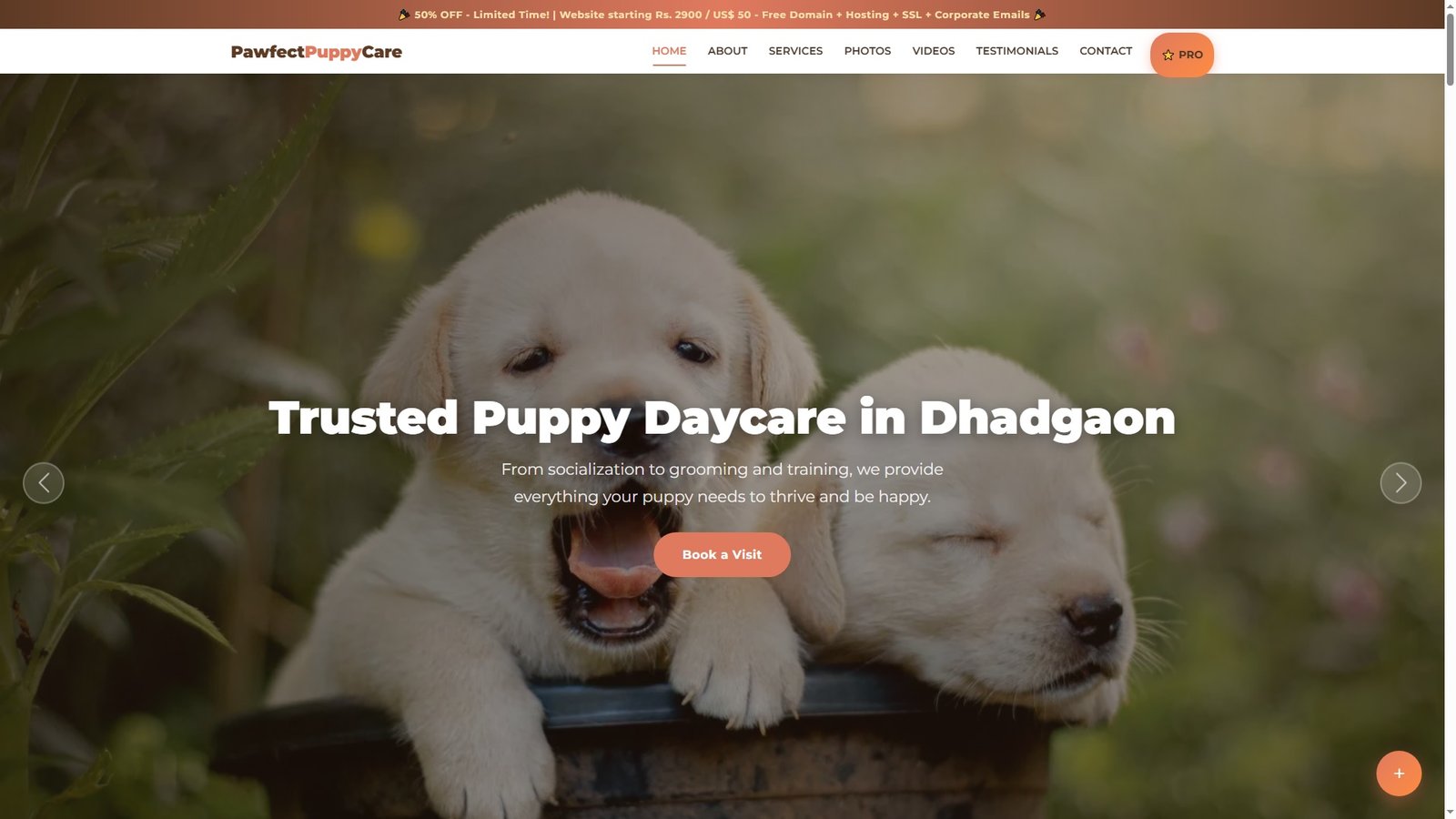 Puppy Daycare