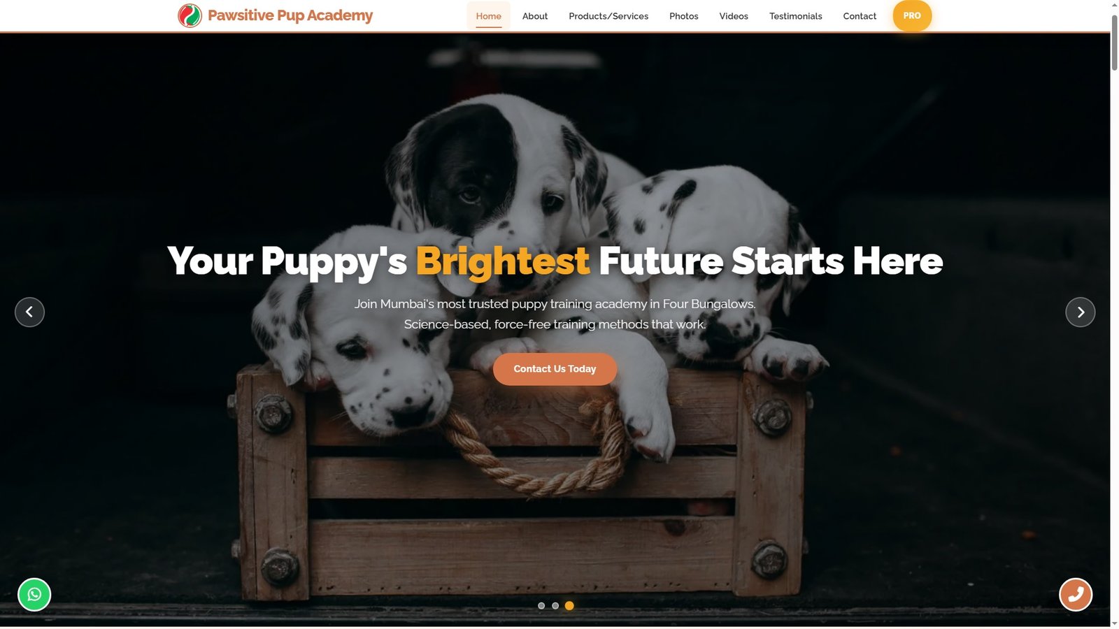 Puppy Training Classes