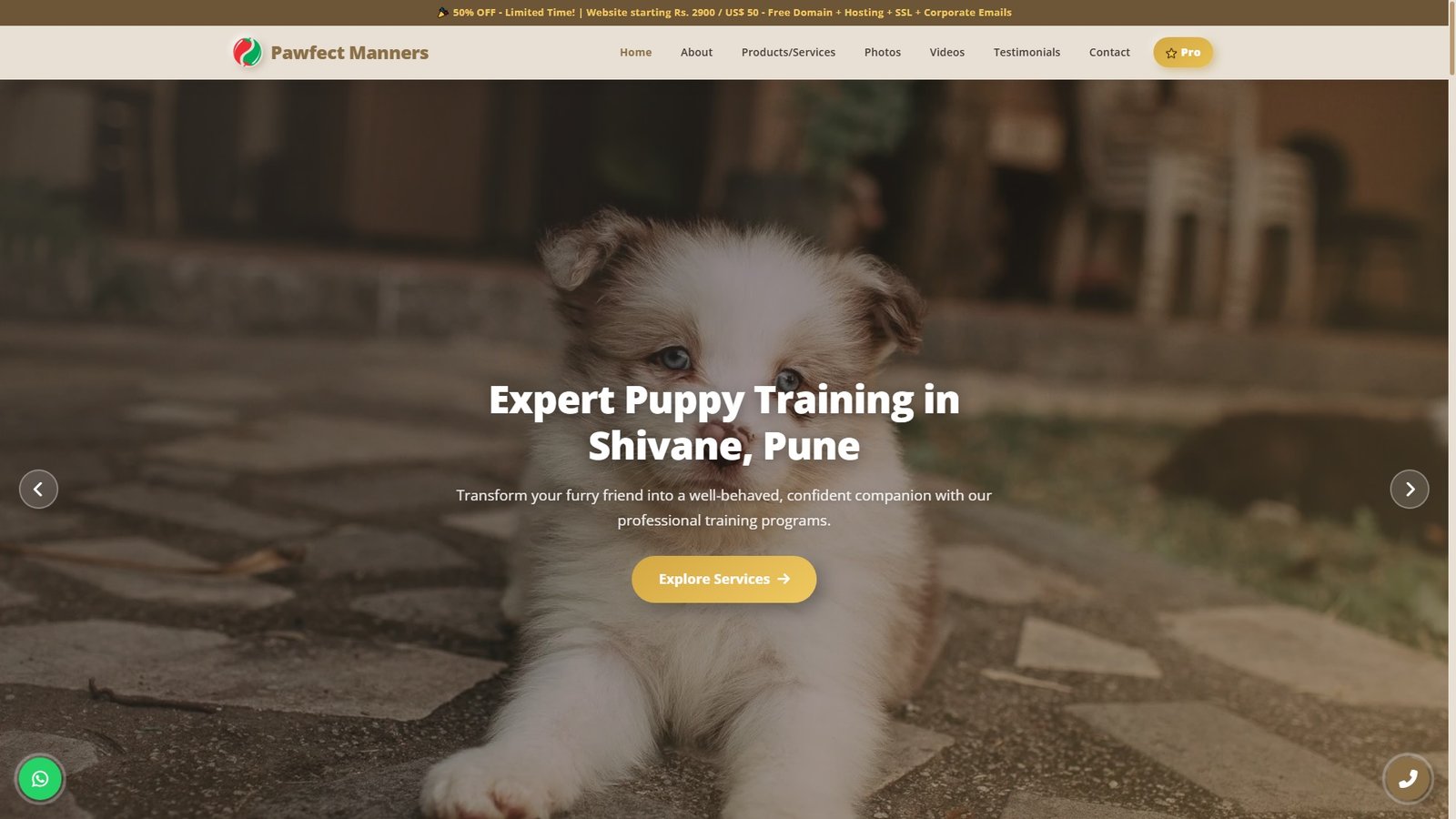 Puppy Training Classes