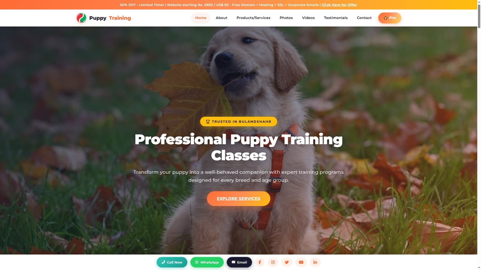 Puppy Training Classes