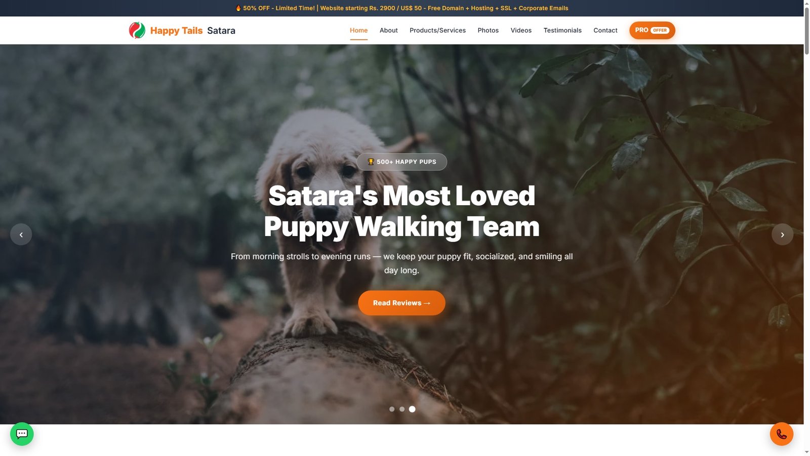 Puppy Walking Services