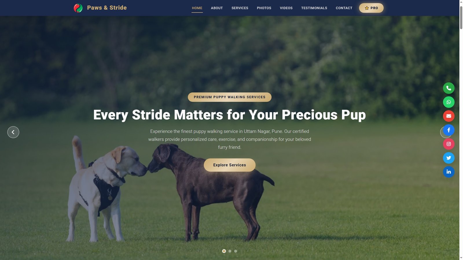 Puppy Walking Services