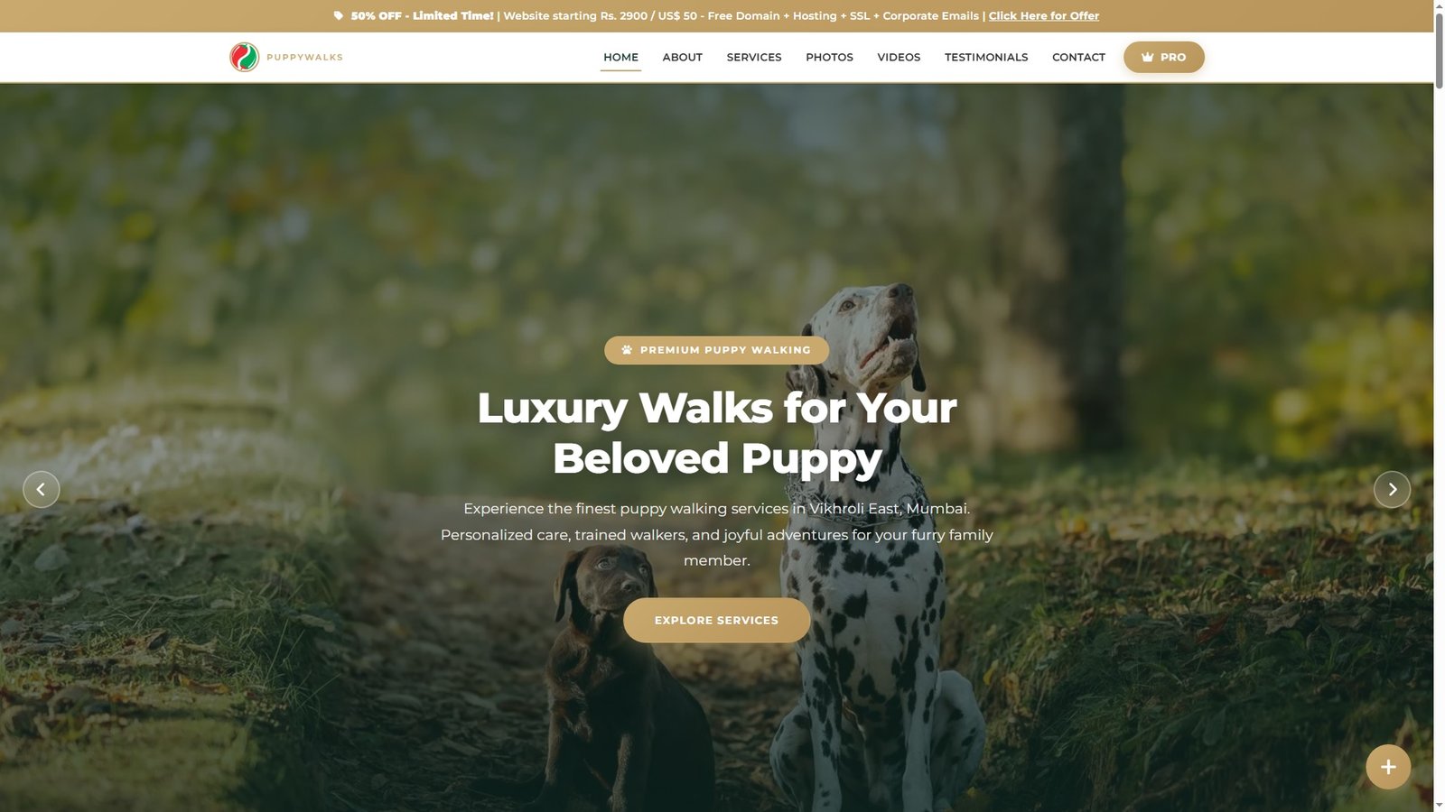 Puppy Walking Services