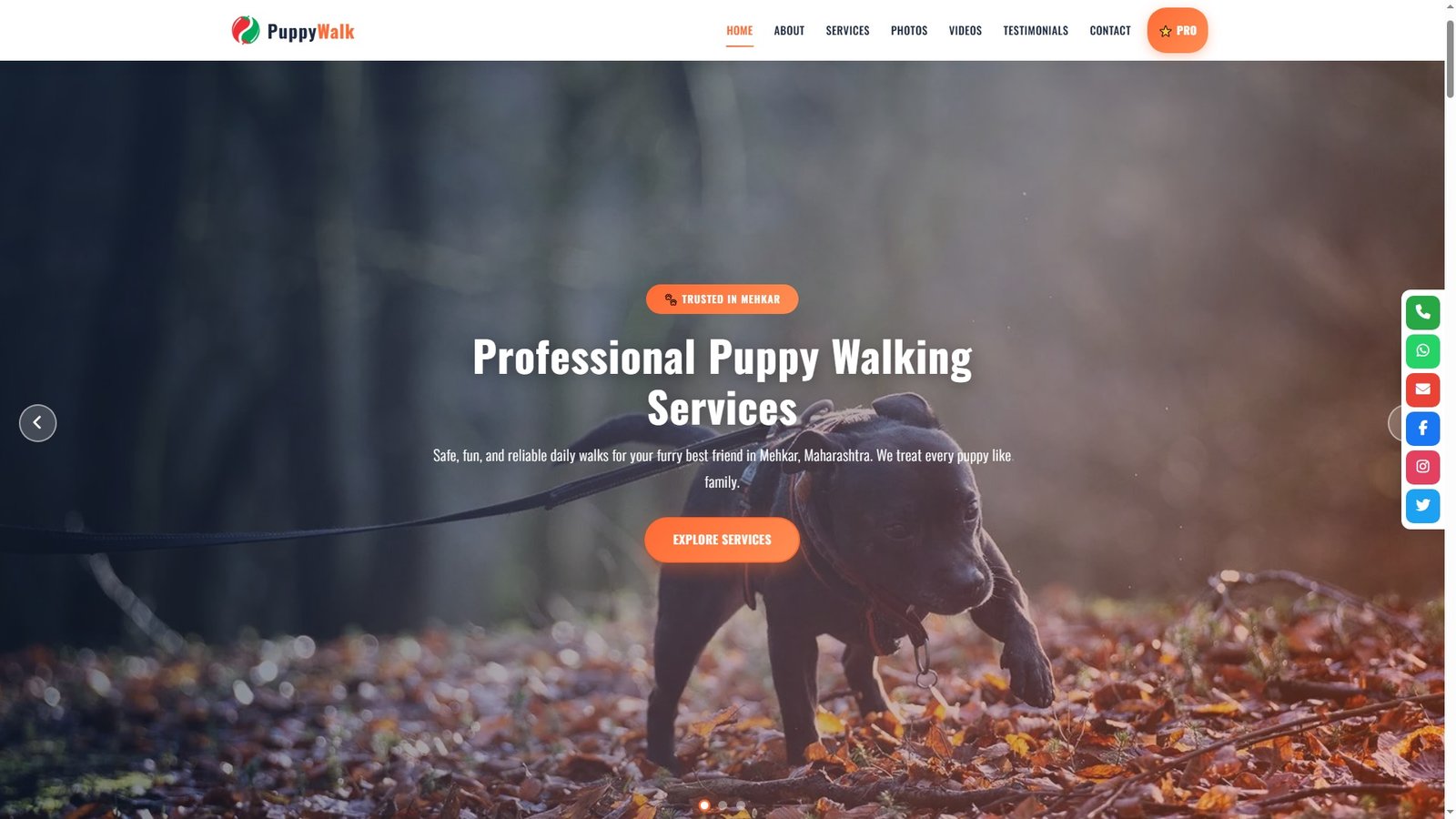 Puppy Walking Services