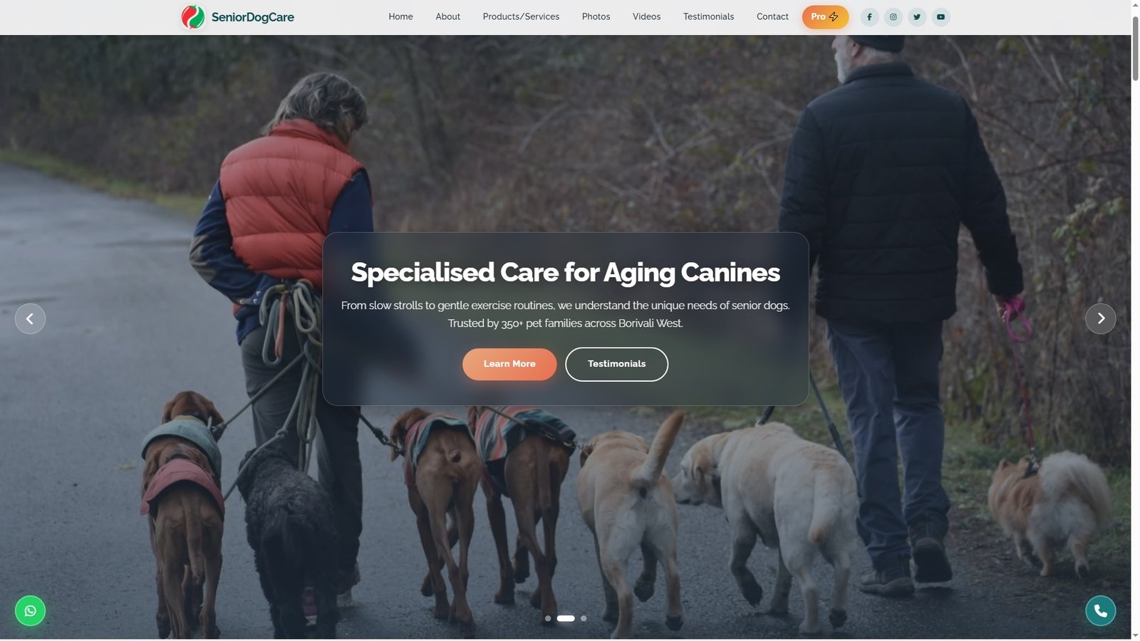 Senior Dog Walking