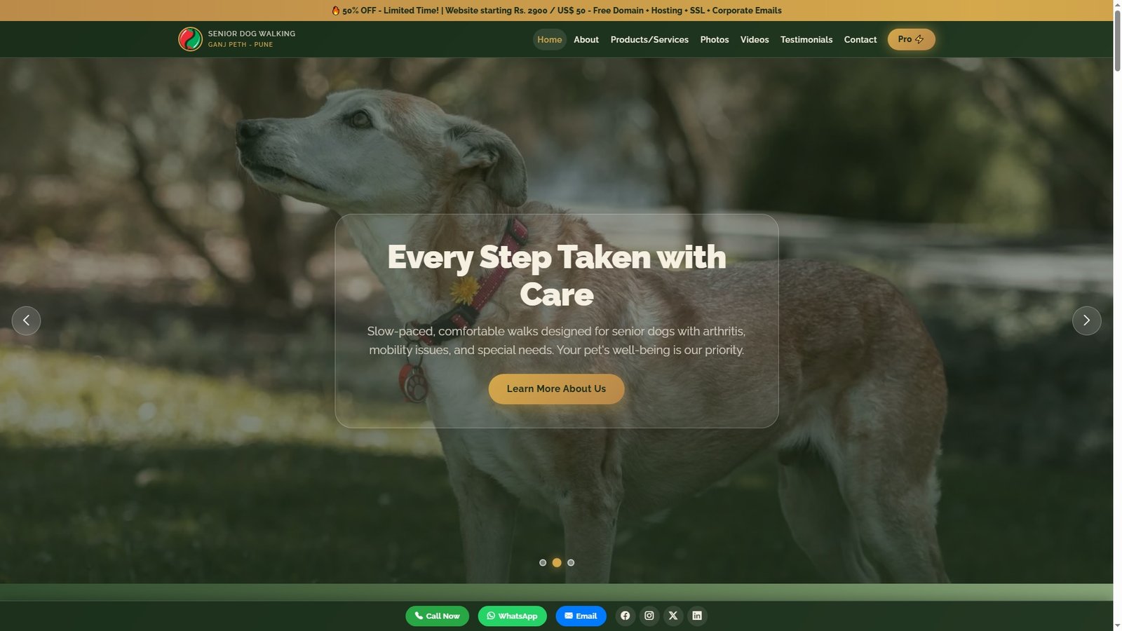 Senior Dog Walking