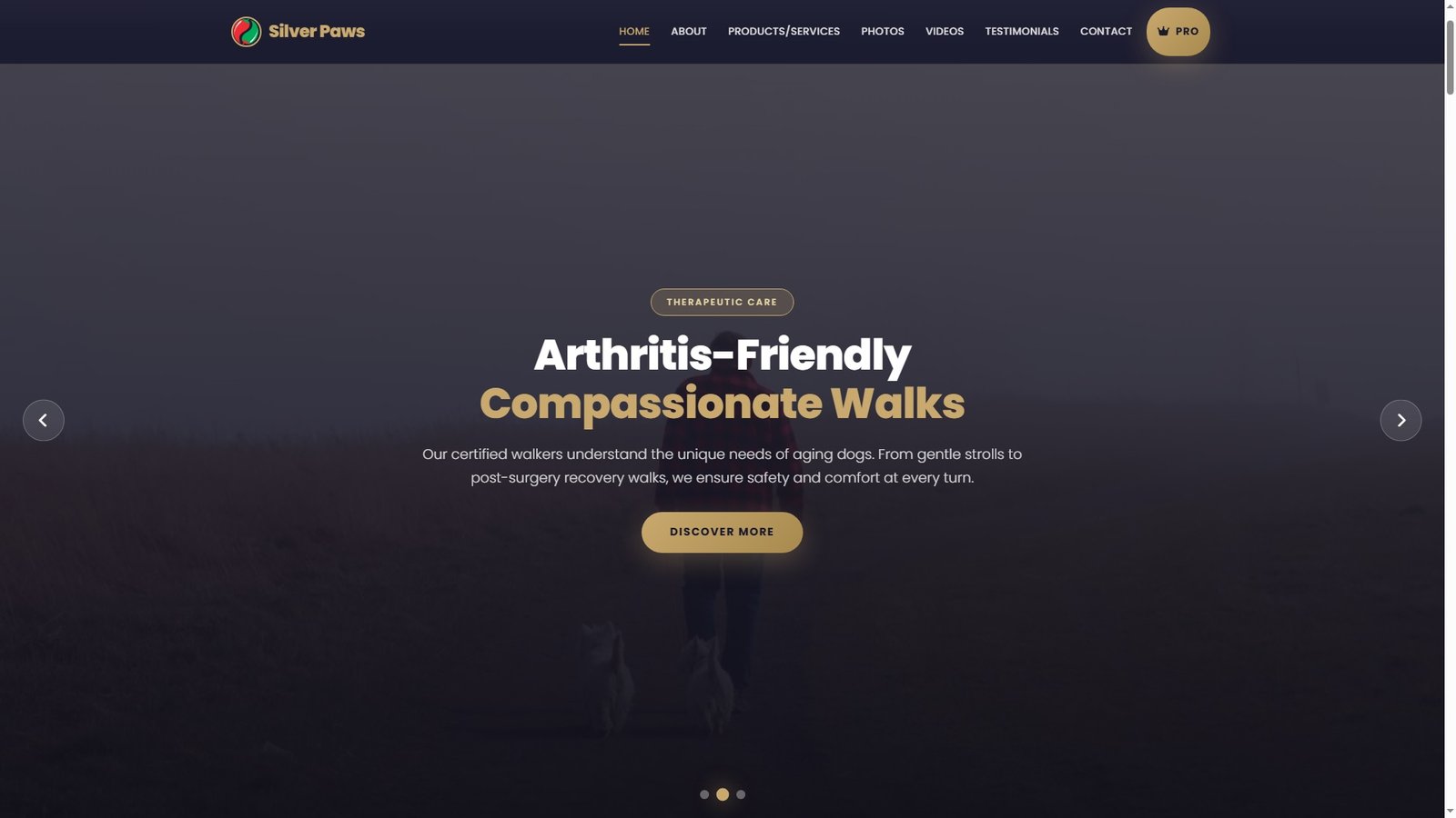 Senior Dog Walking