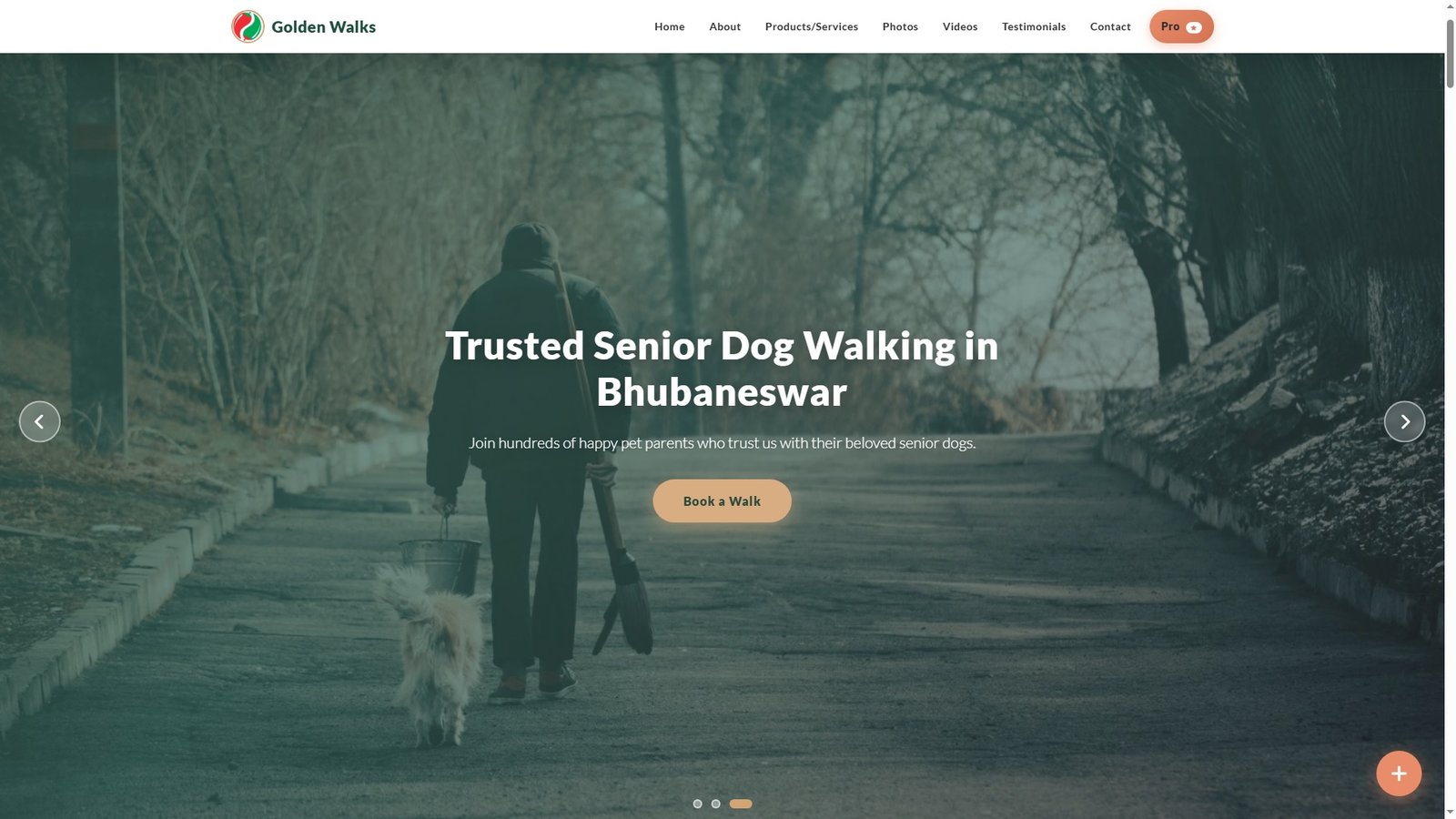 Senior Dog Walking