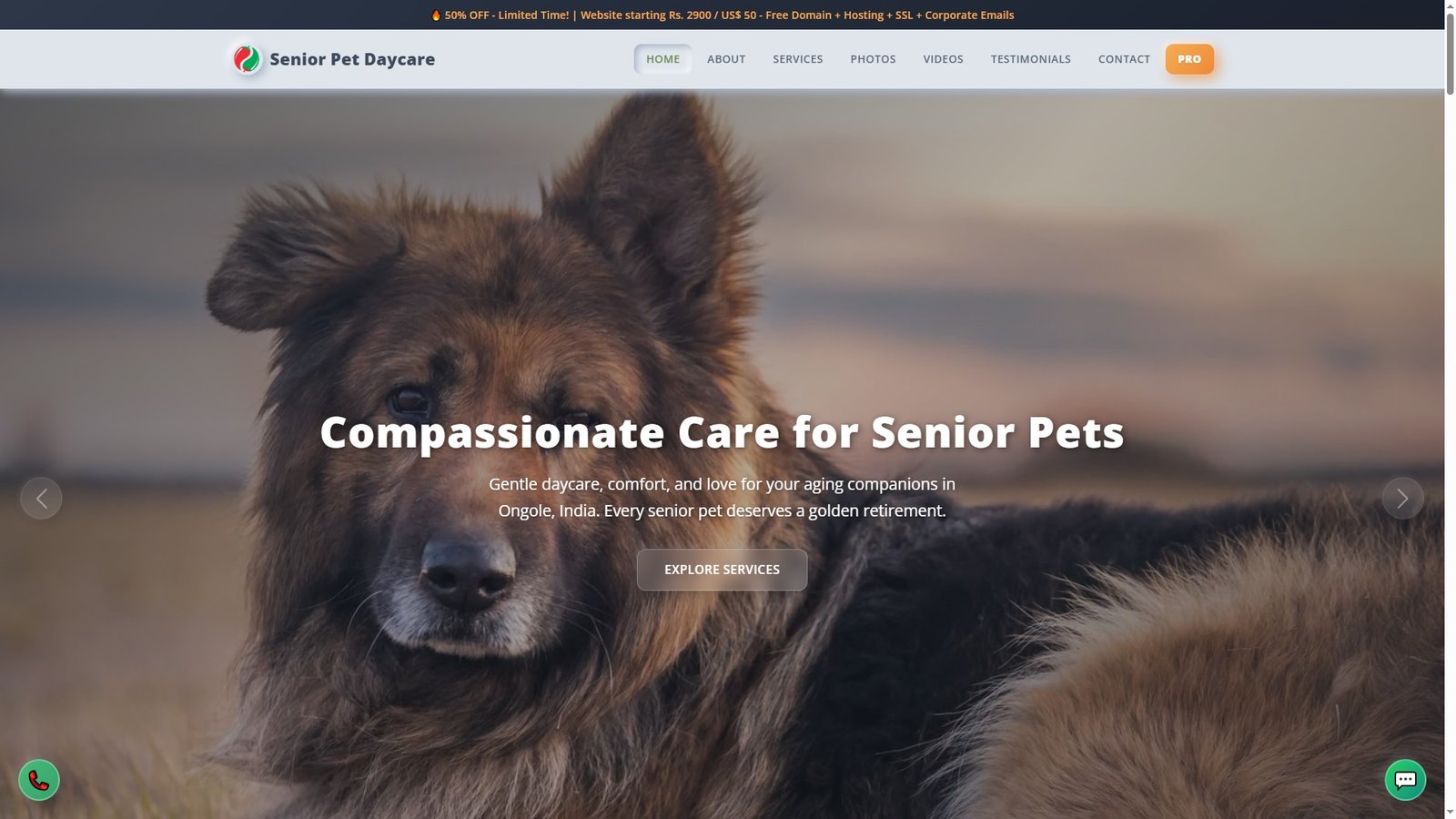 Senior Pet Daycare