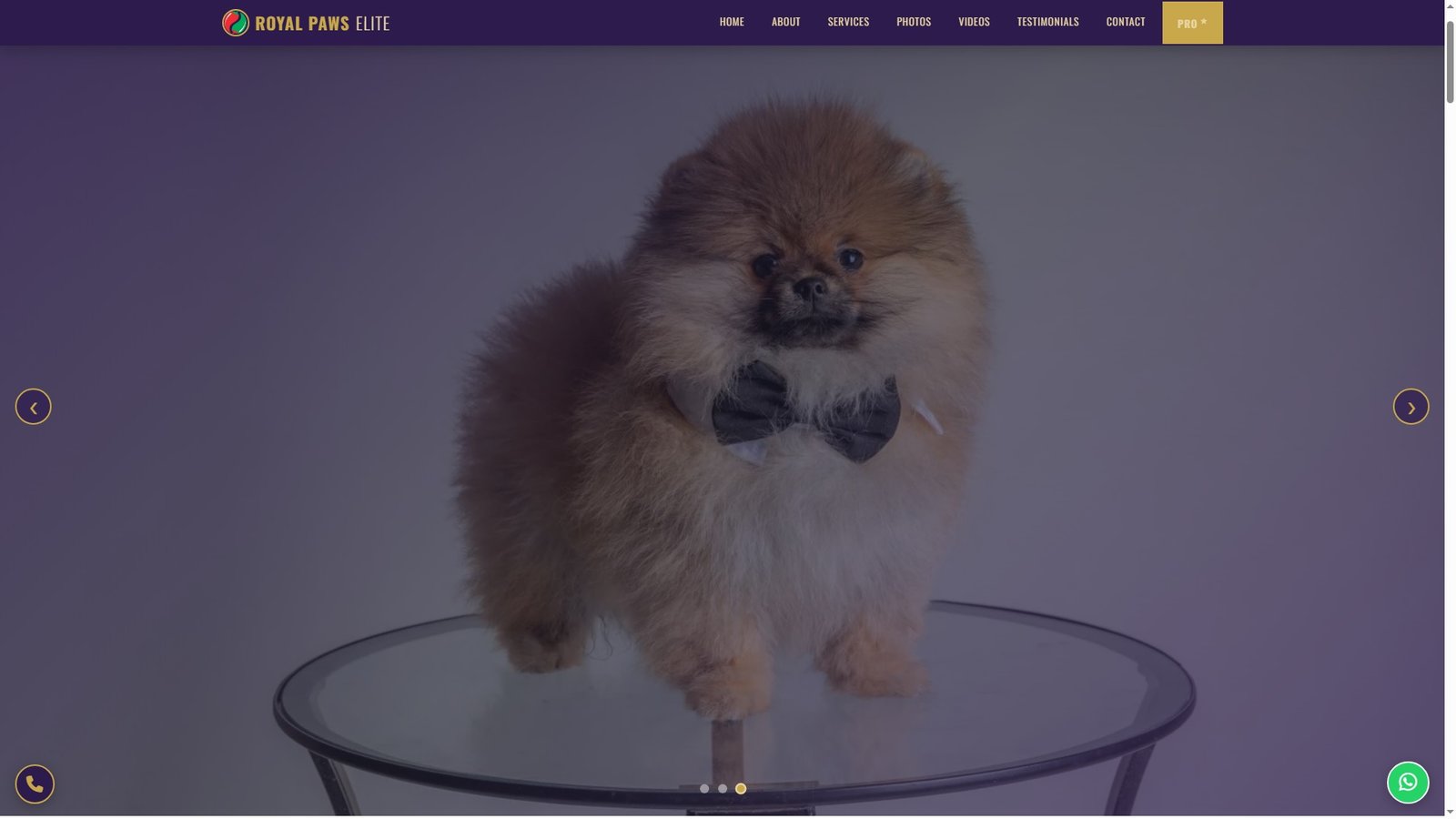 Show Pet Grooming Services