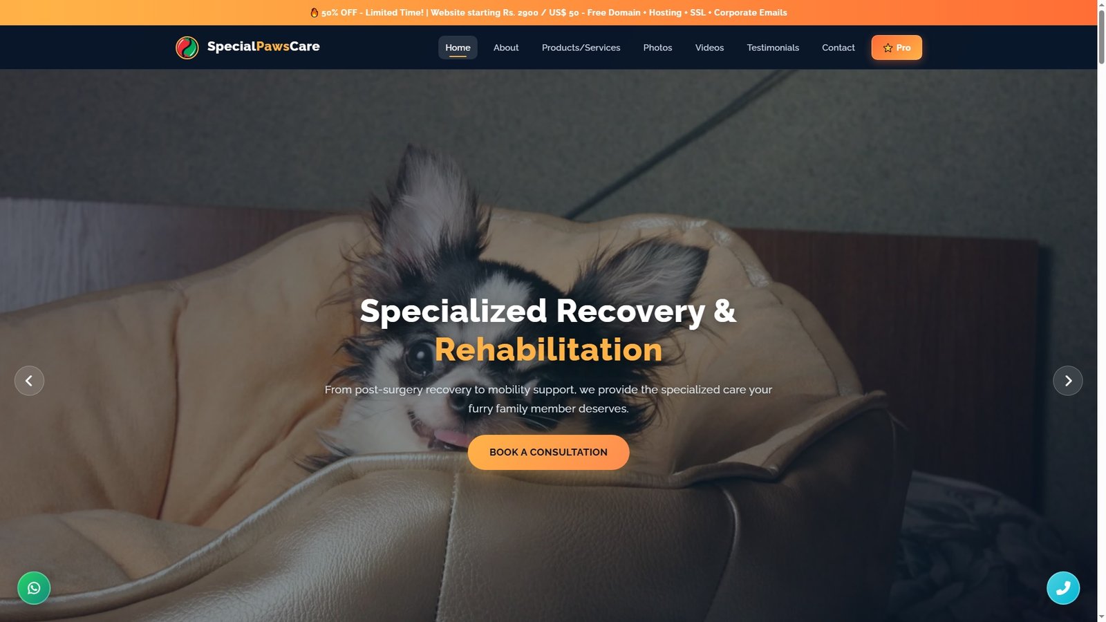 Special Needs Pet Boarding