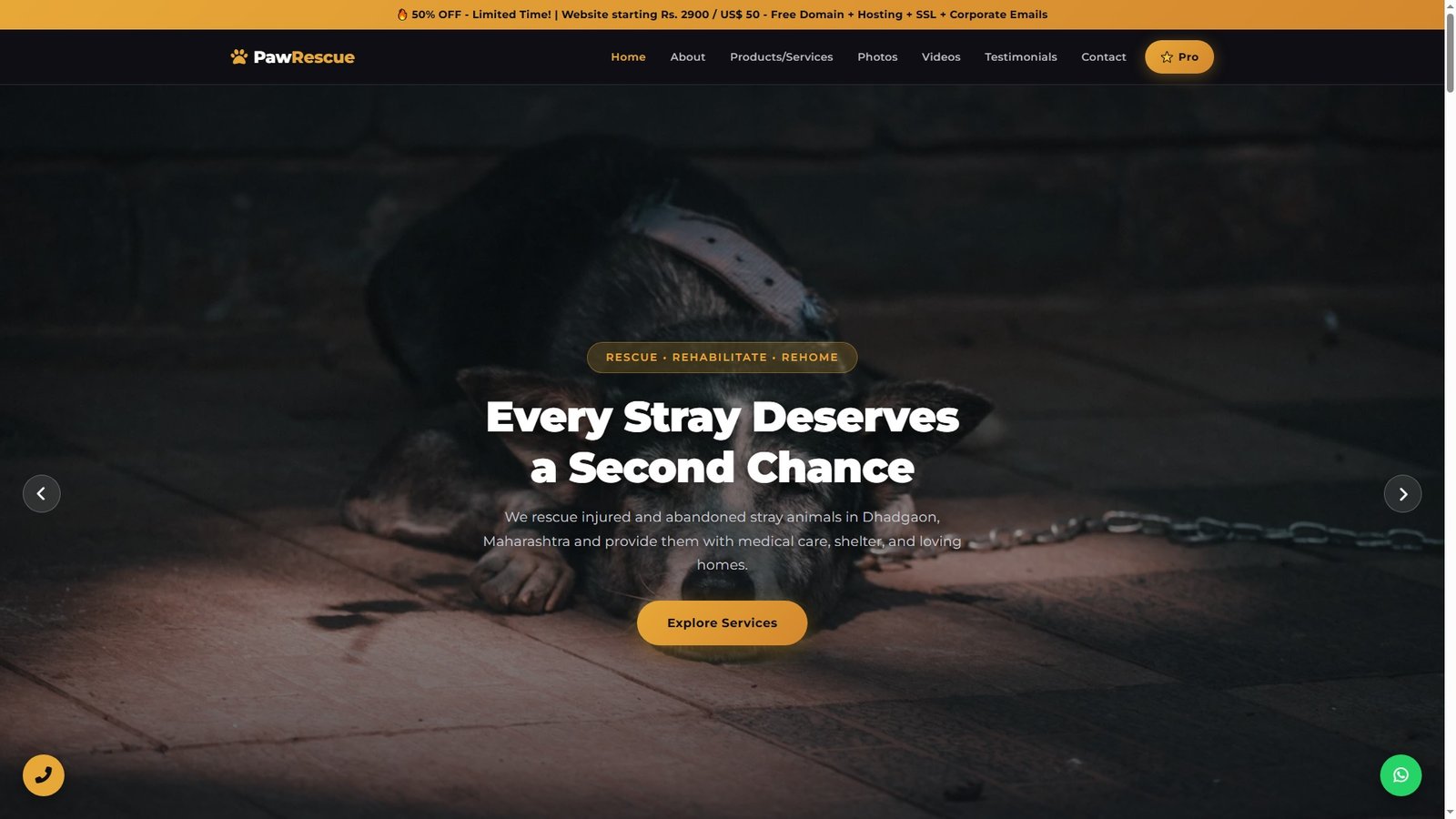 Stray Animal Rescue Services
