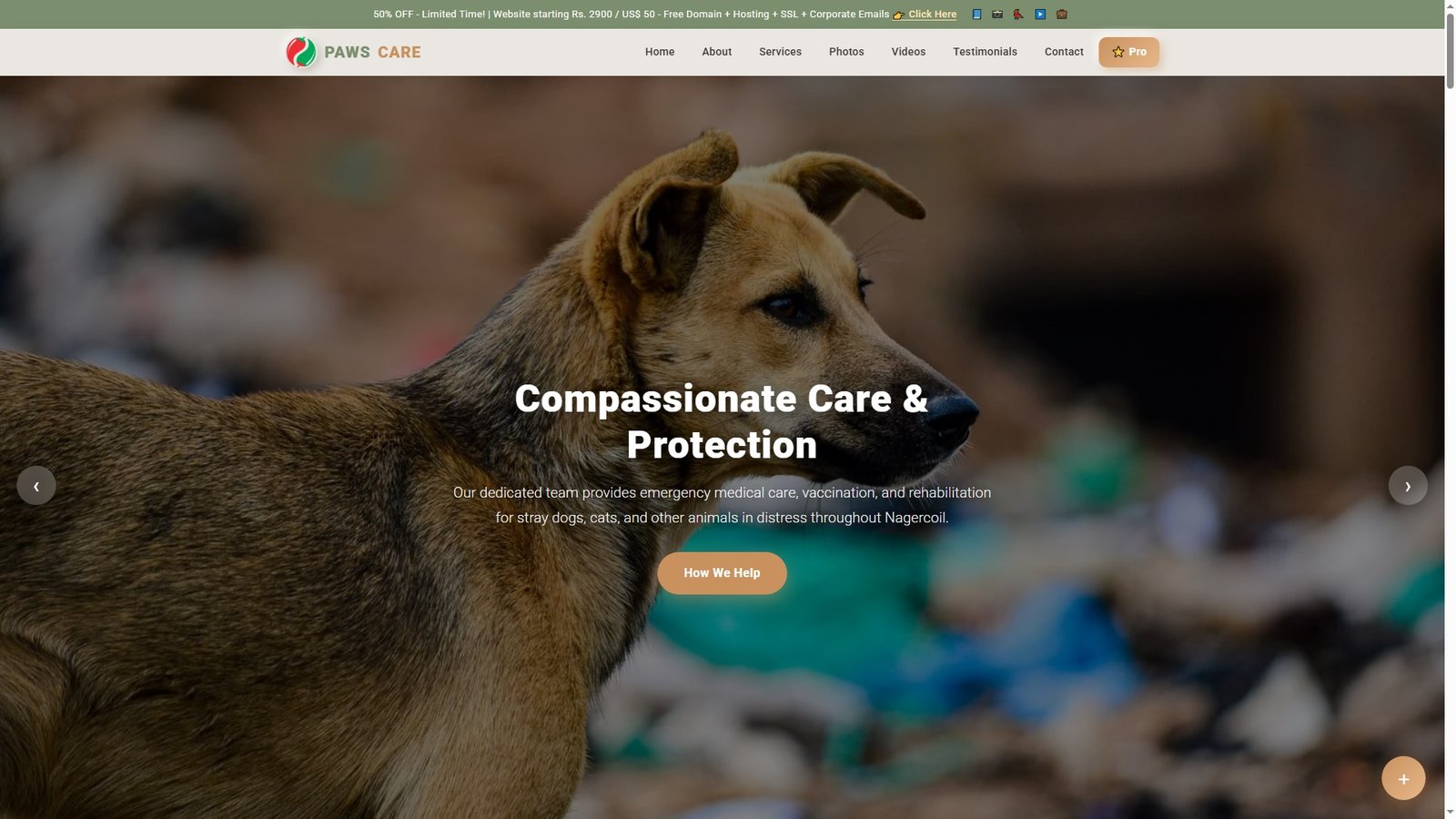Stray Animal Rescue Services