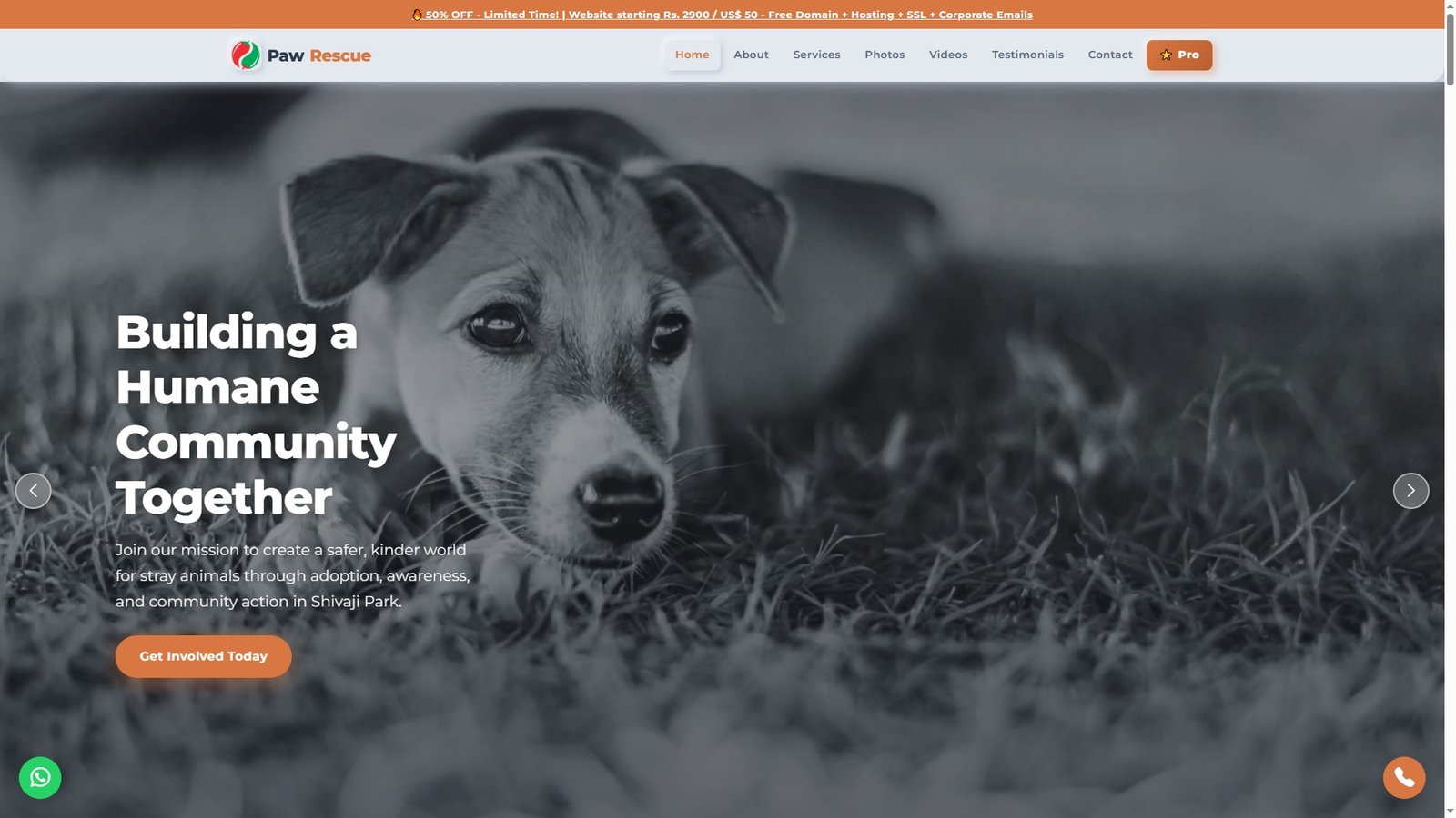 Stray Animal Rescue Services