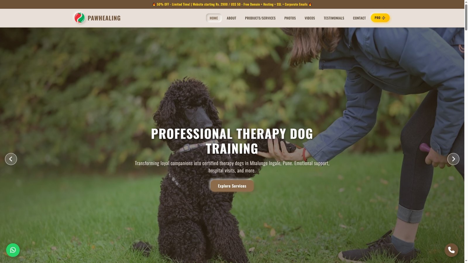 Therapy Dog Training