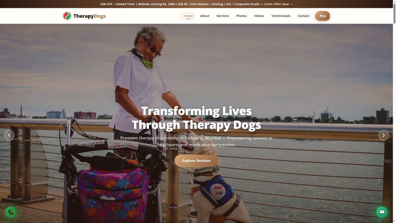 Therapy Dog Training