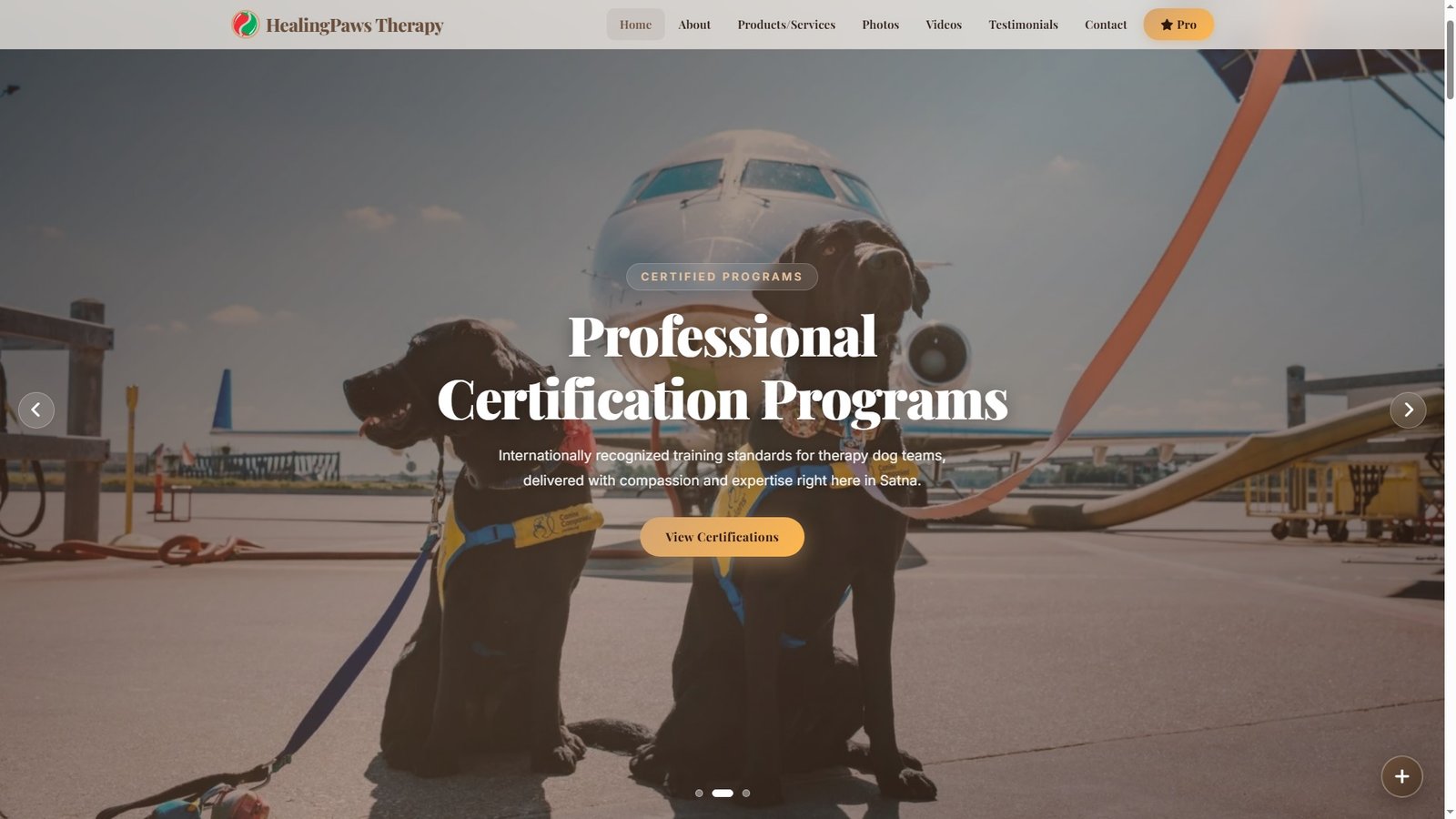 Therapy Dog Training