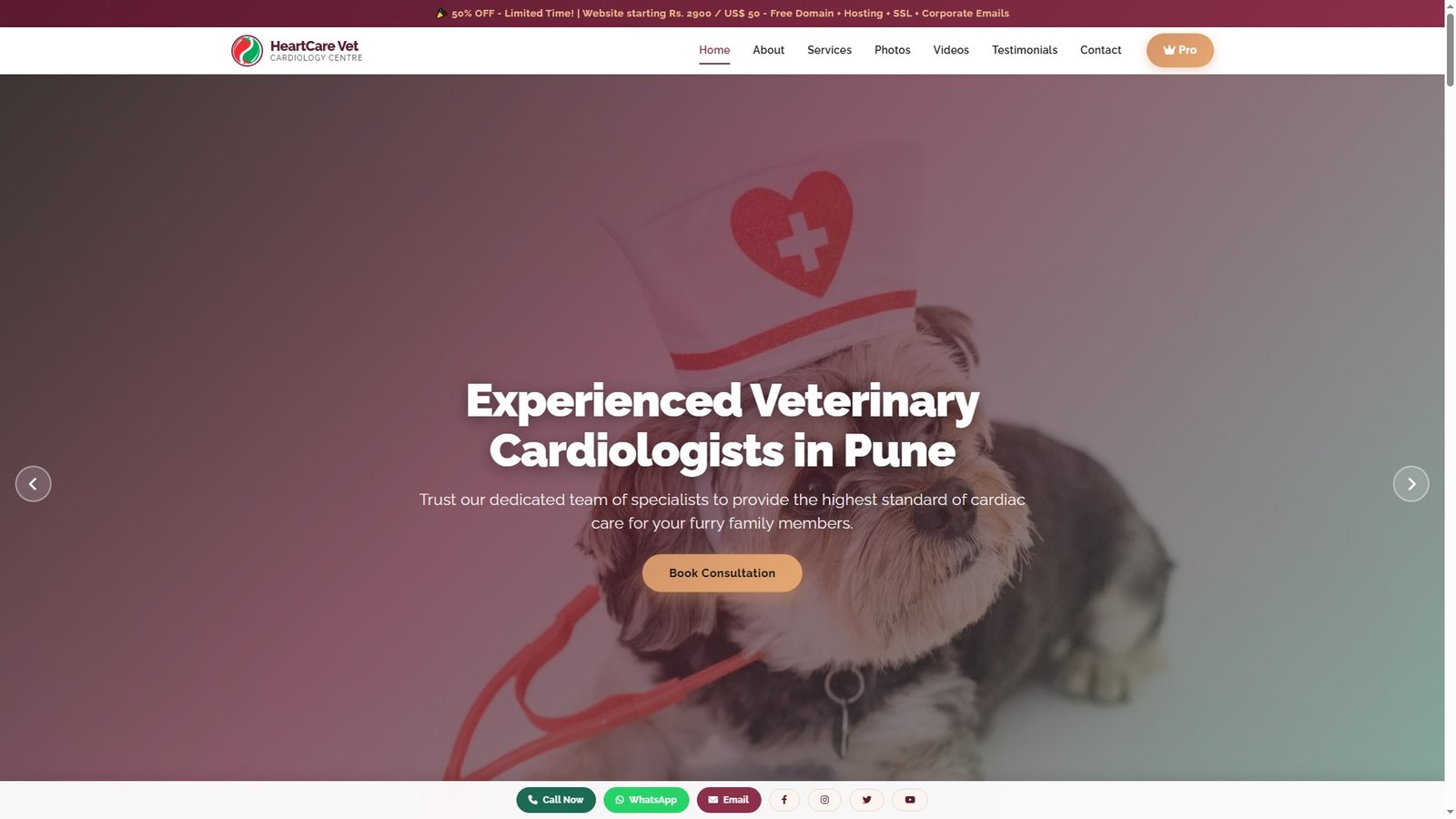 Veterinary Cardiology Services