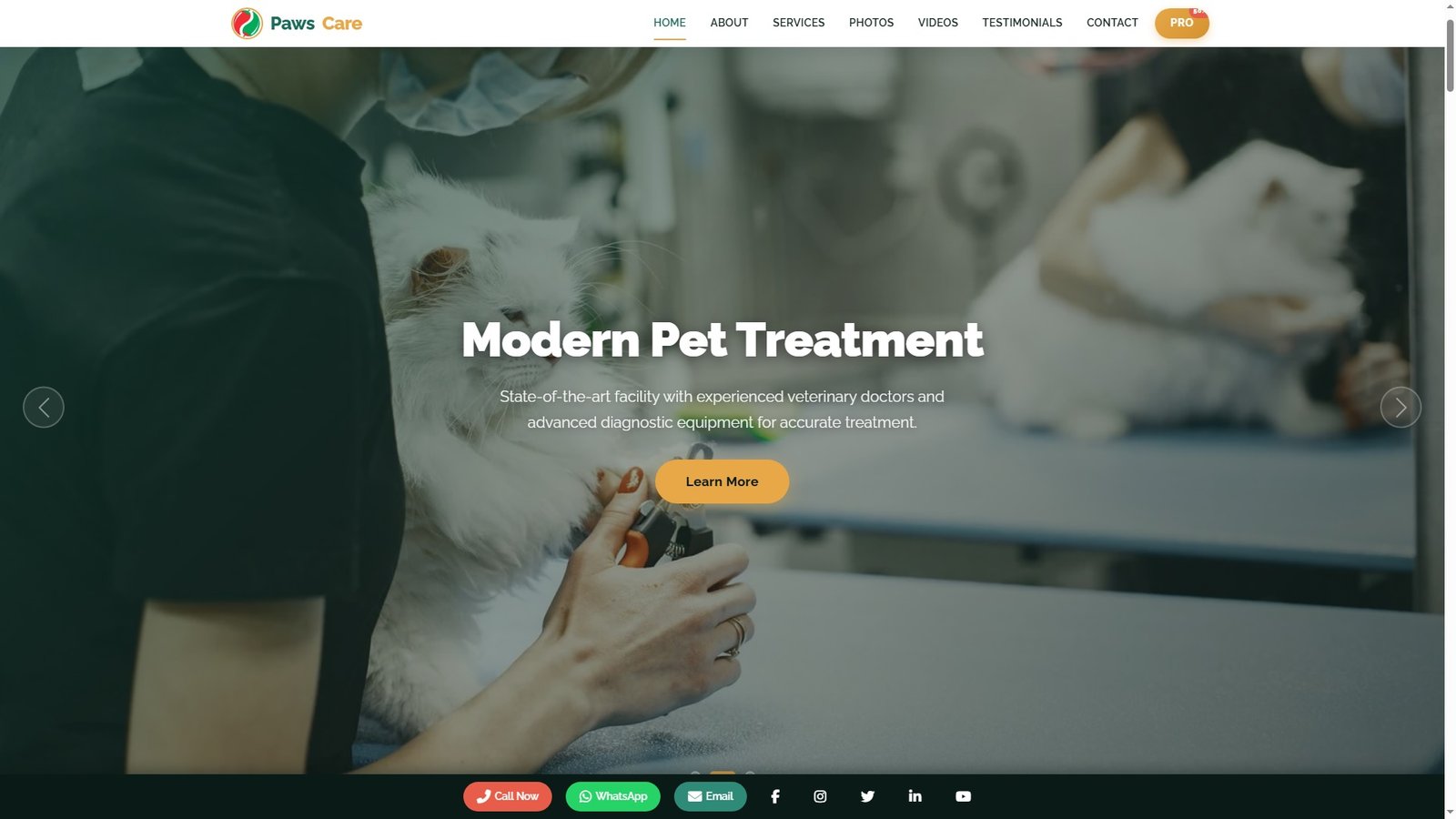 Veterinary Clinics