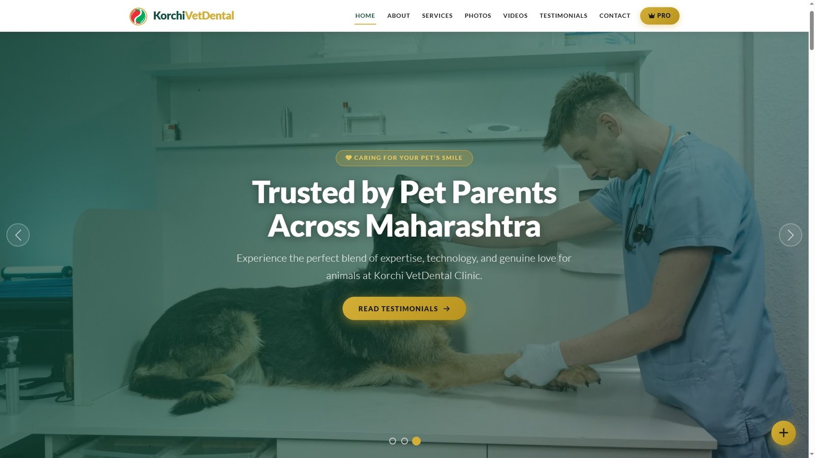 Veterinary Dental Clinics