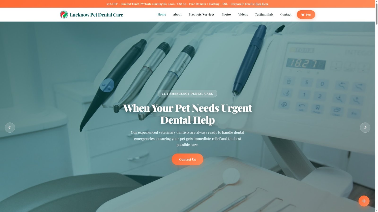 Veterinary Dental Clinics