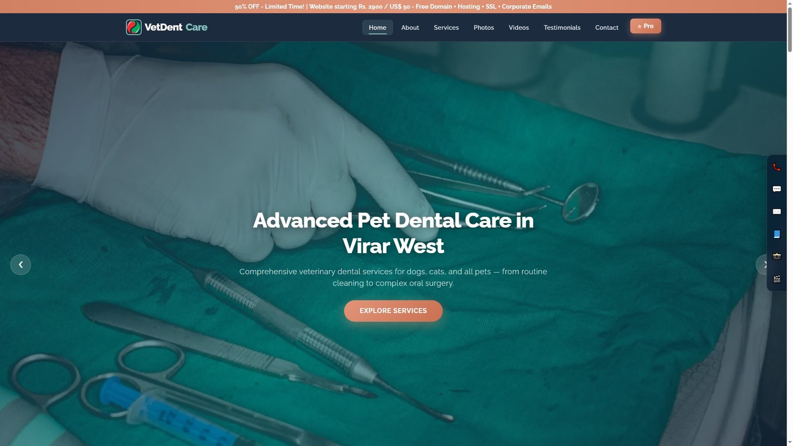 Veterinary Dental Clinics