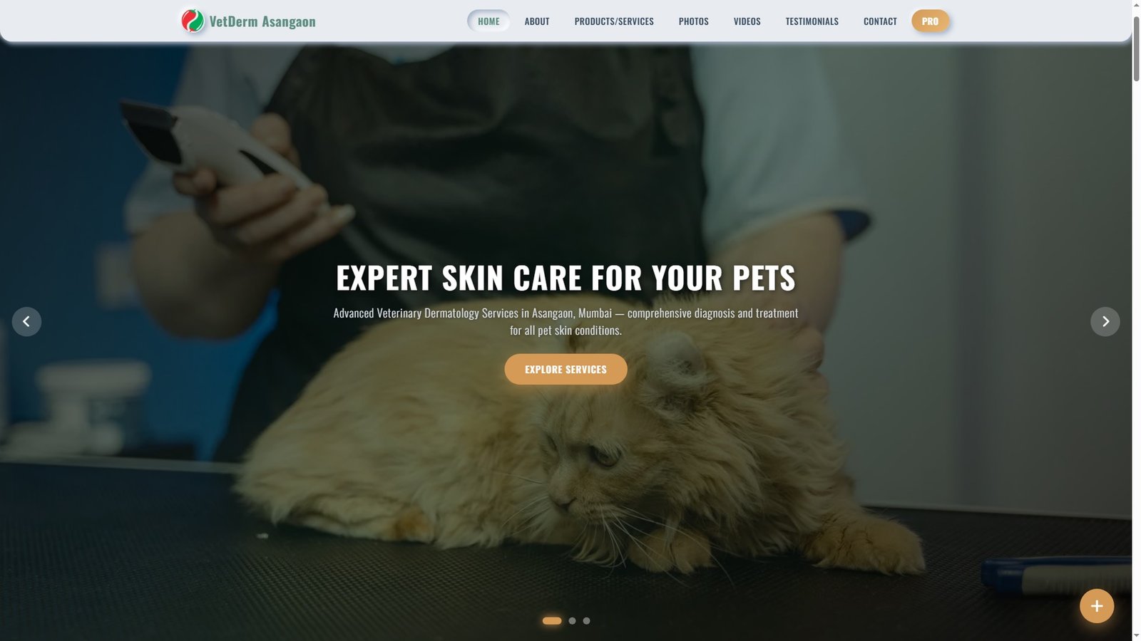 Veterinary Dermatology Services