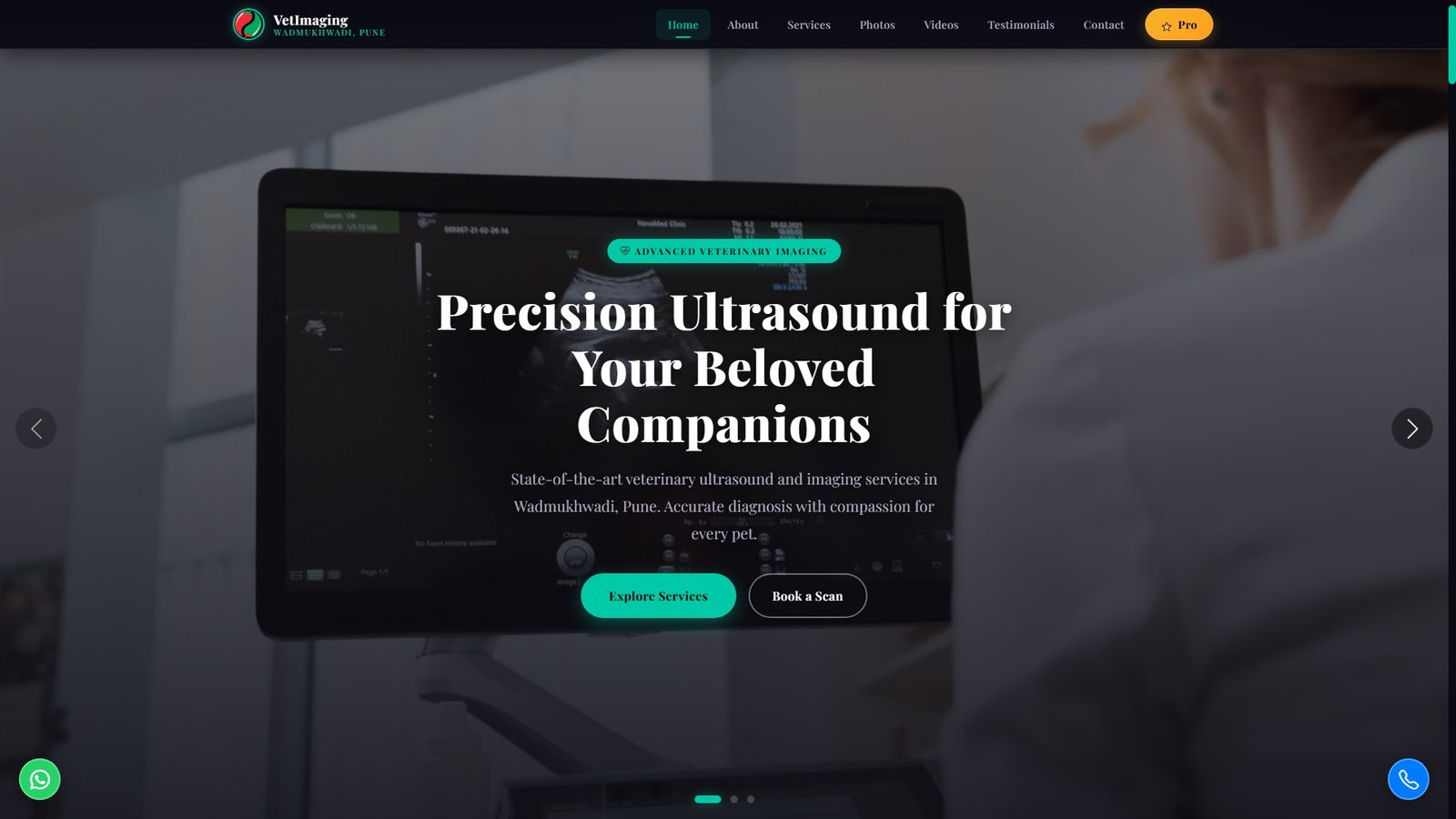 Veterinary Imaging and Ultrasound Services