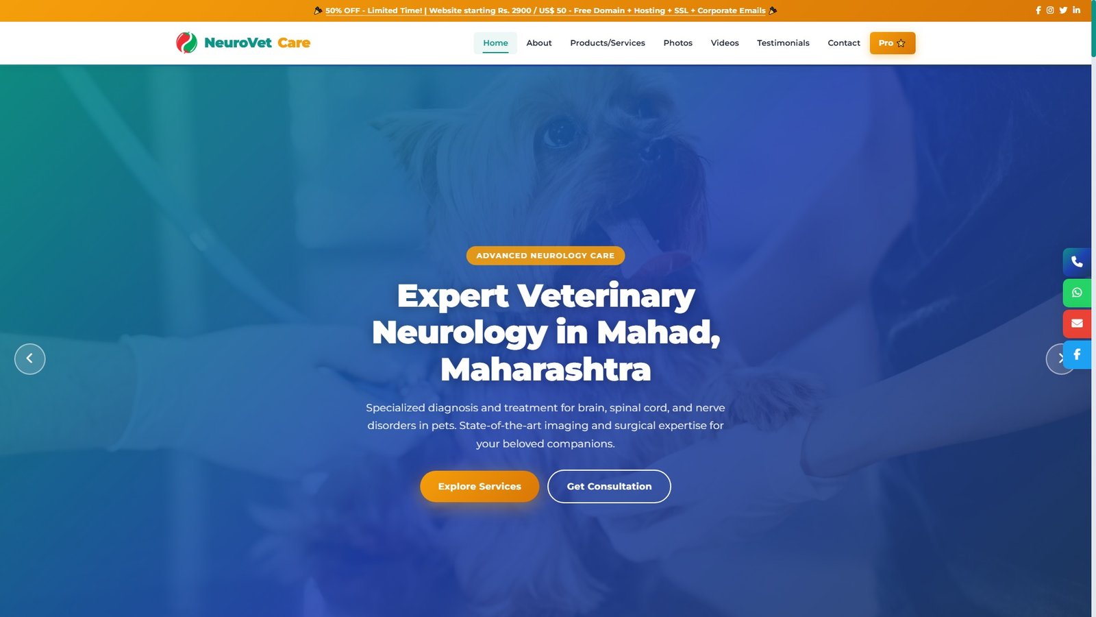 Veterinary Neurology Services