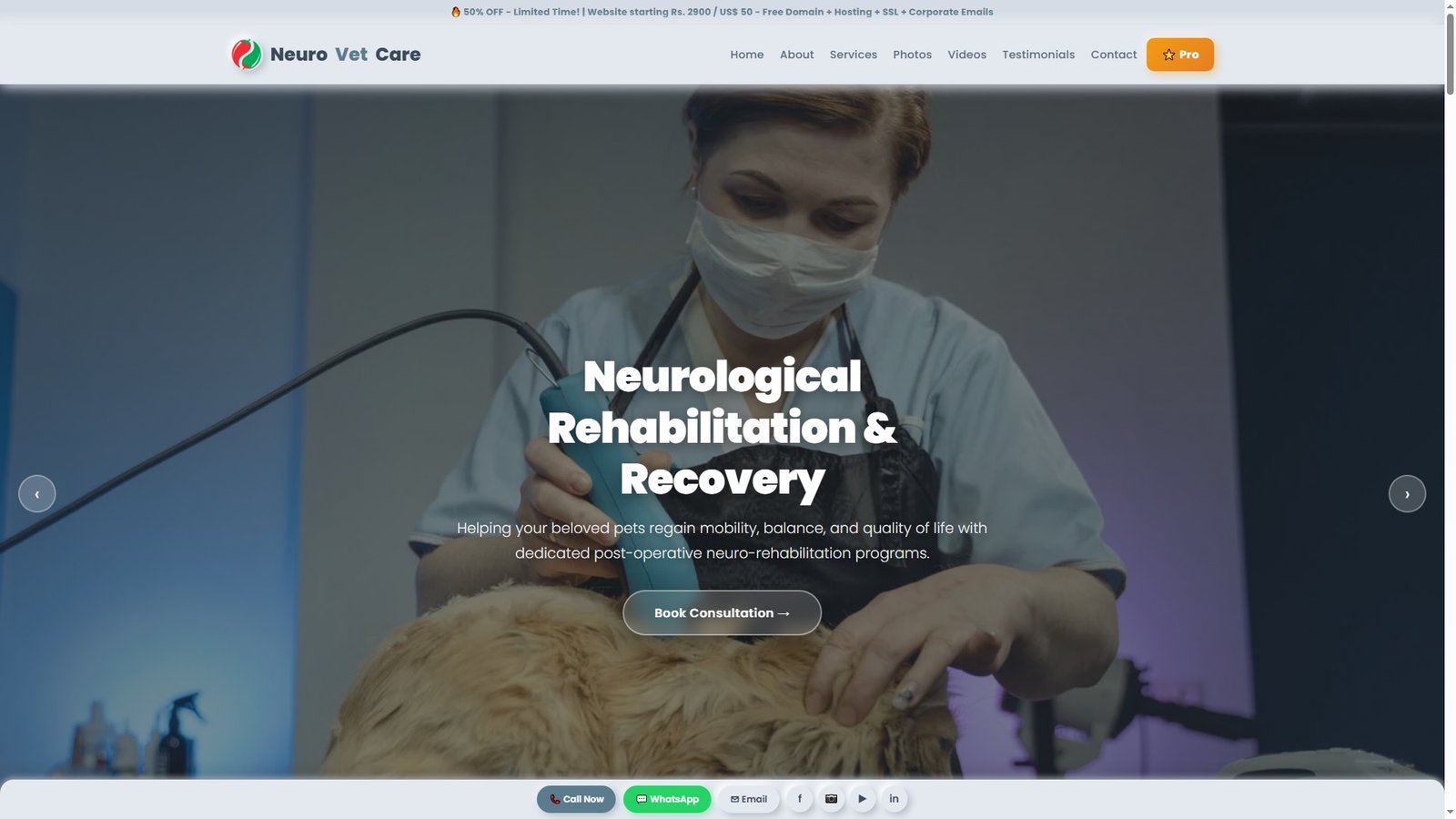 Veterinary Neurology Services