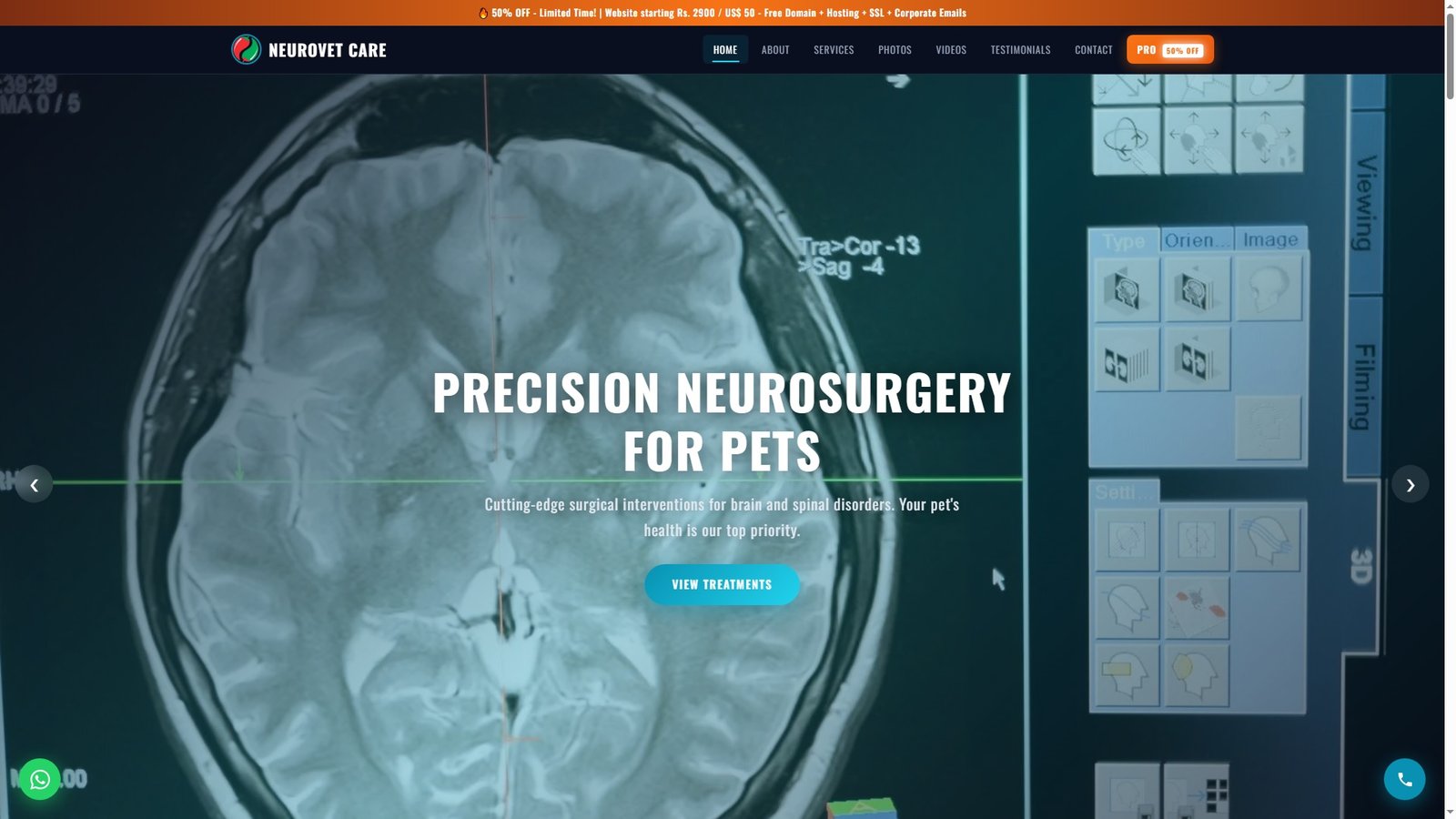 Veterinary Neurology Services