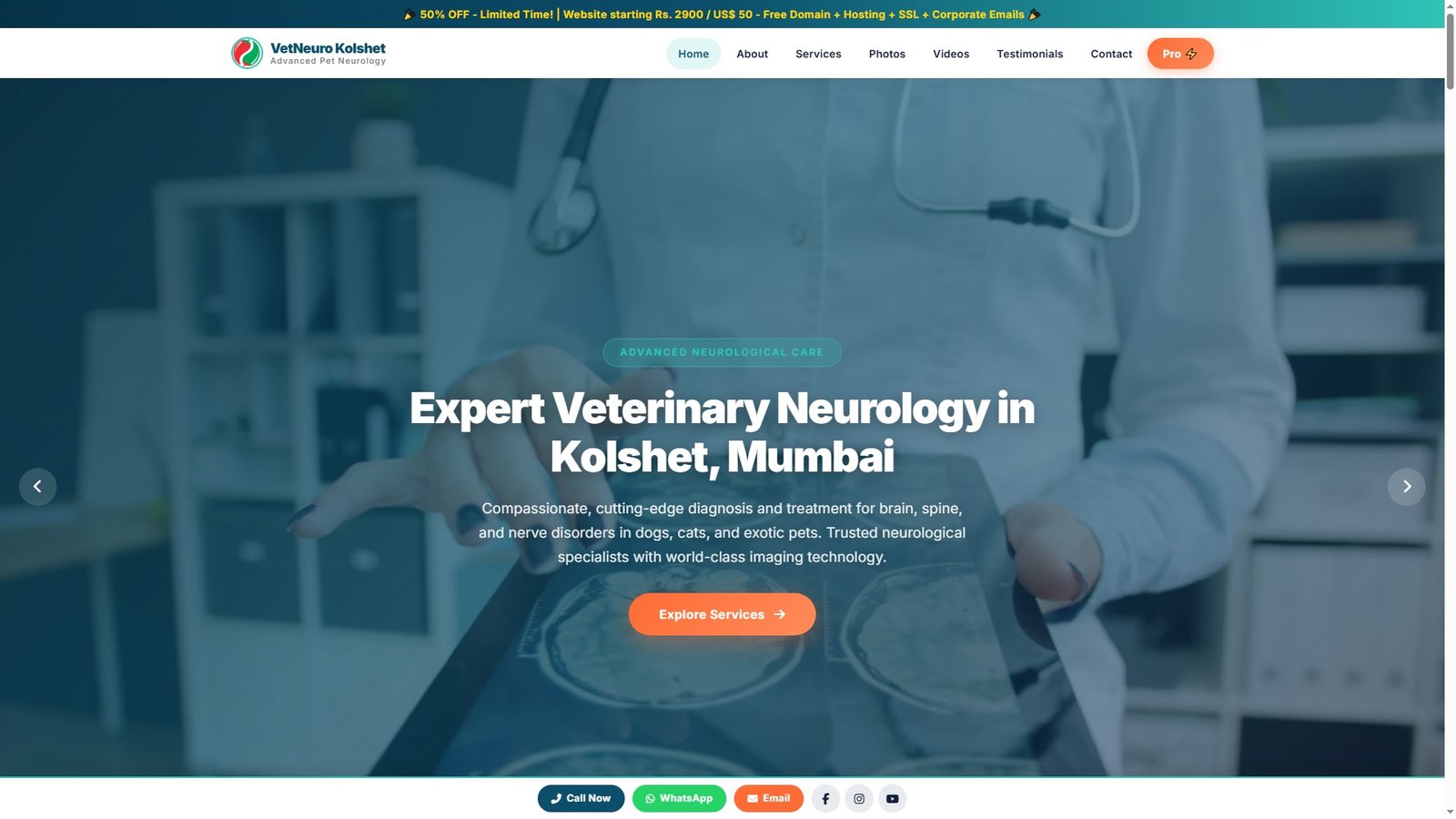 Veterinary Neurology Services