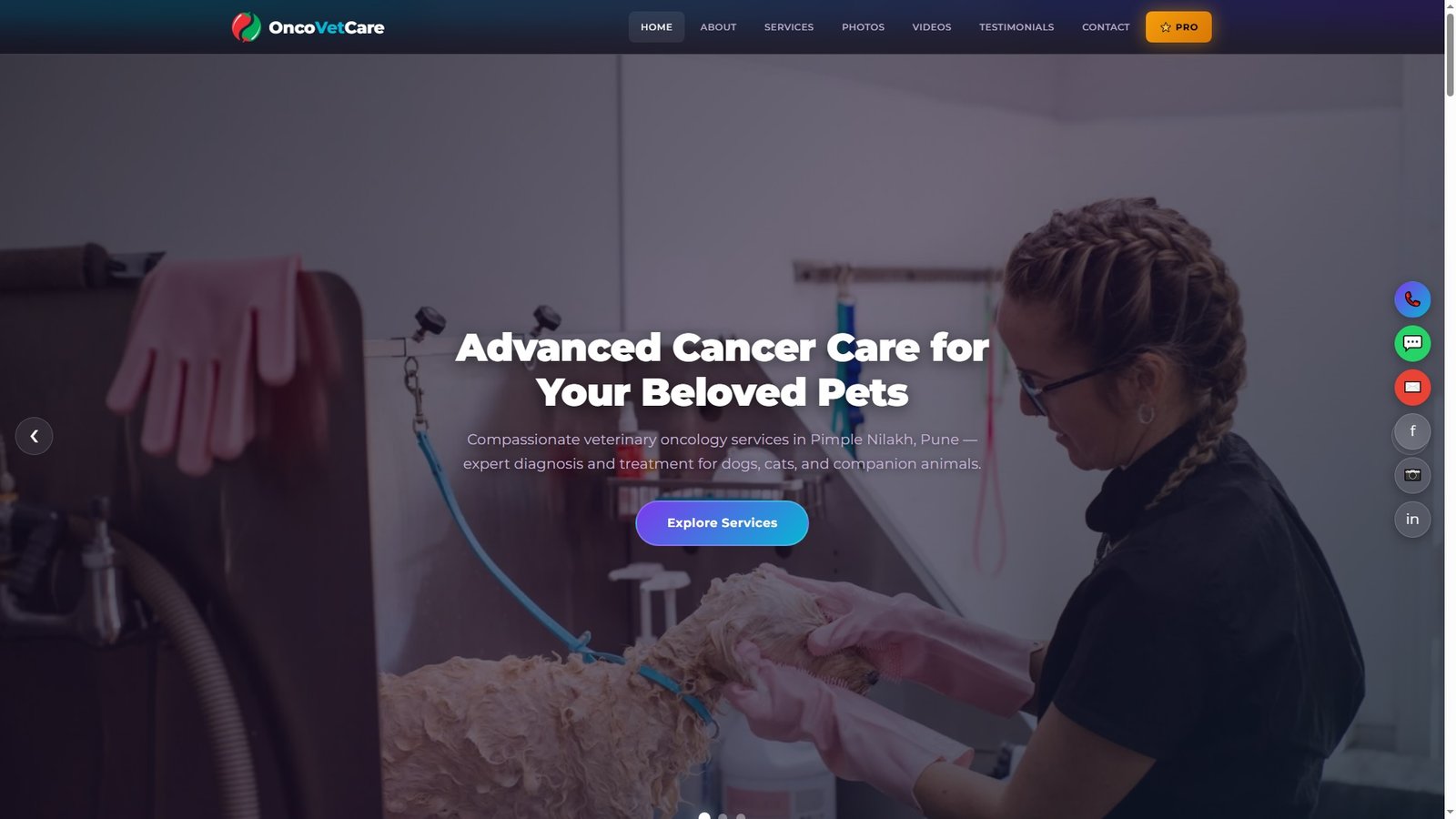 Veterinary Oncology Services