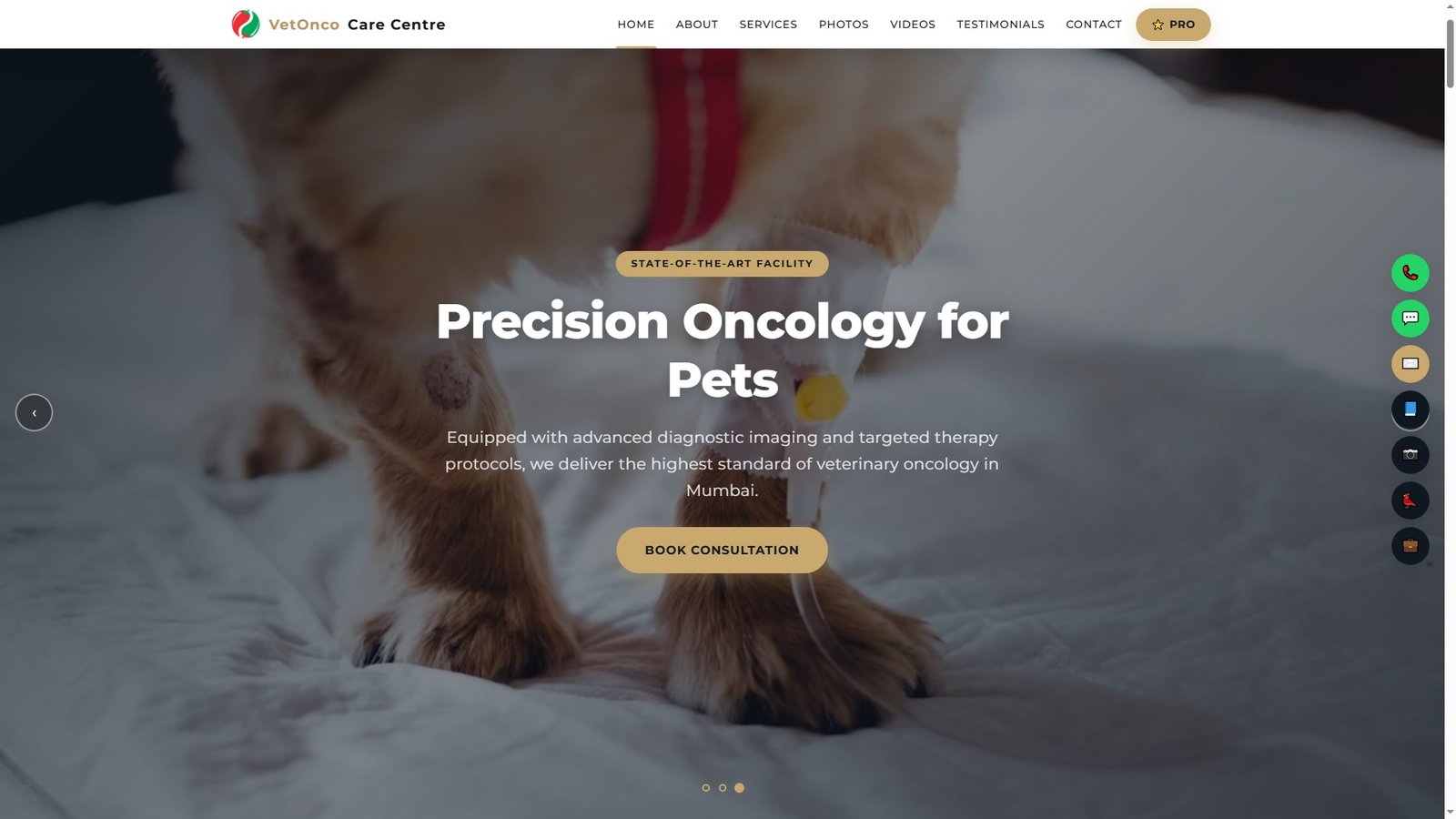 Veterinary Oncology Services