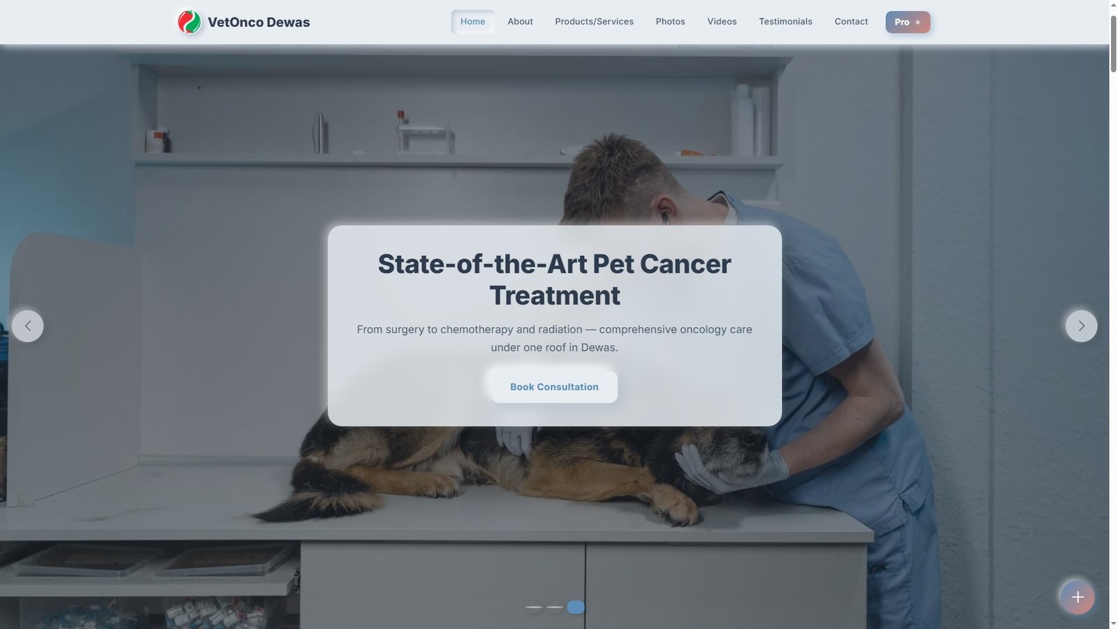 Veterinary Oncology Services