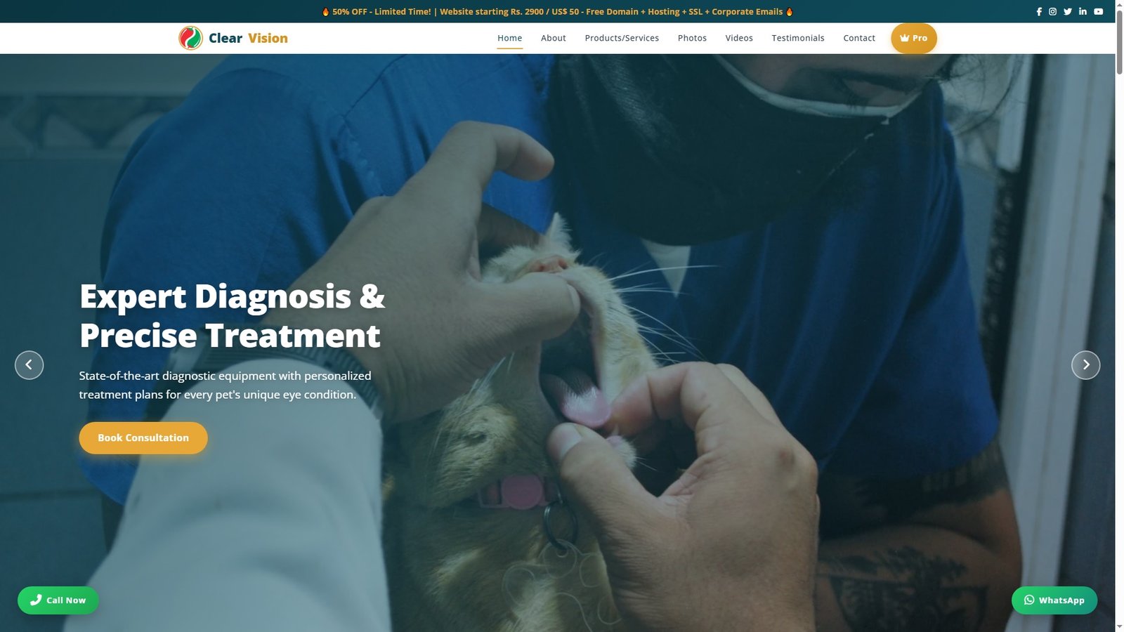 Veterinary Ophthalmology Services