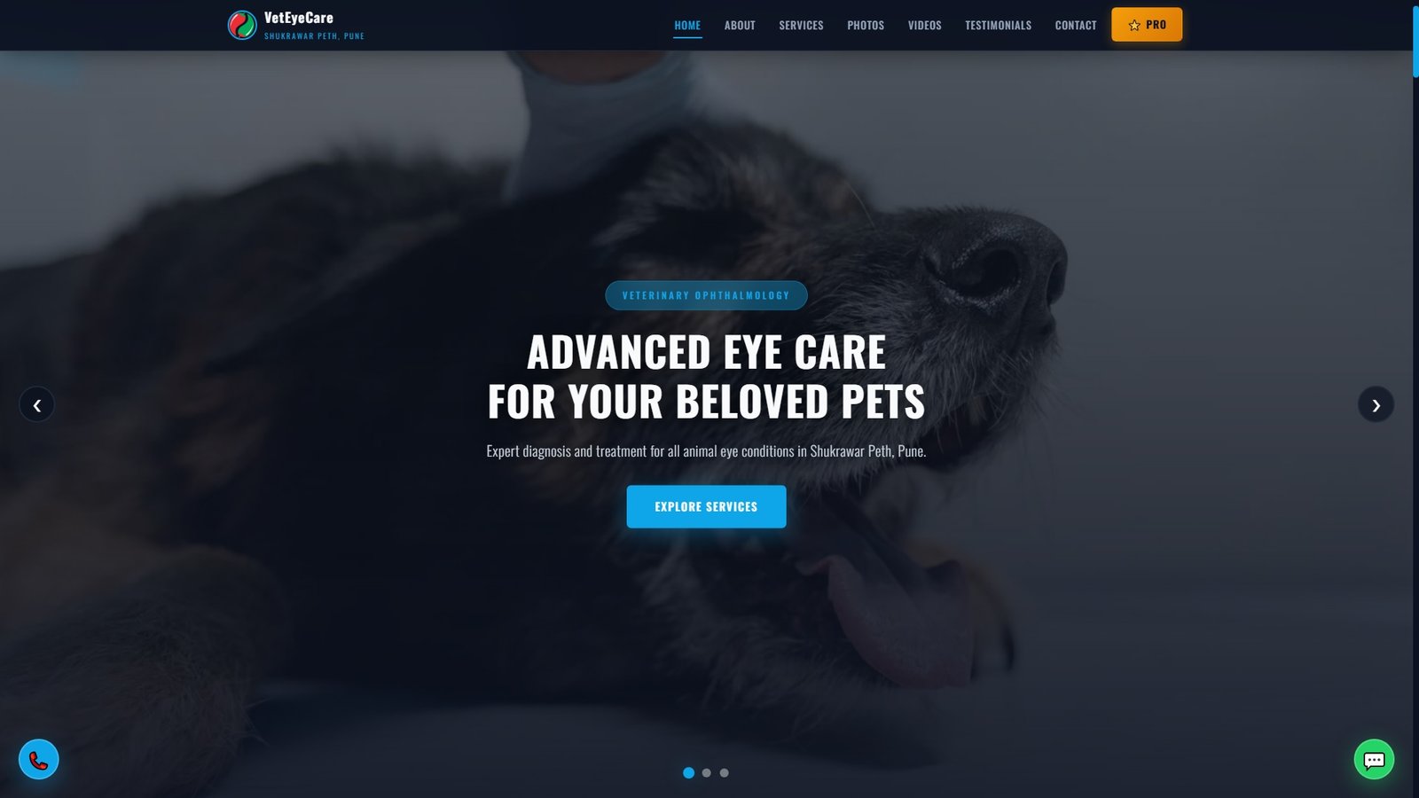 Veterinary Ophthalmology Services