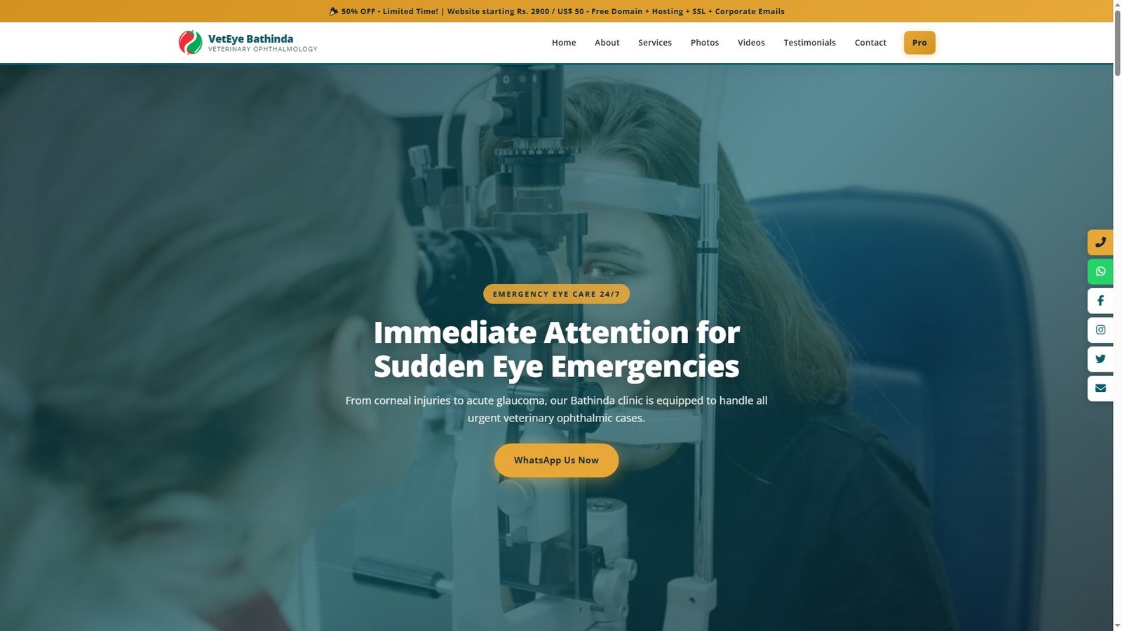 Veterinary Ophthalmology Services