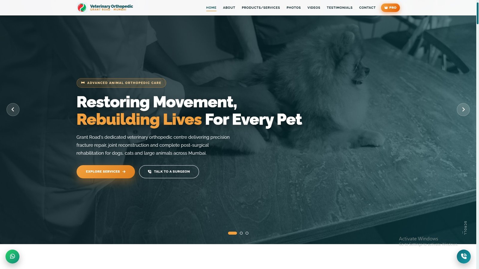 Veterinary Orthopedic Services