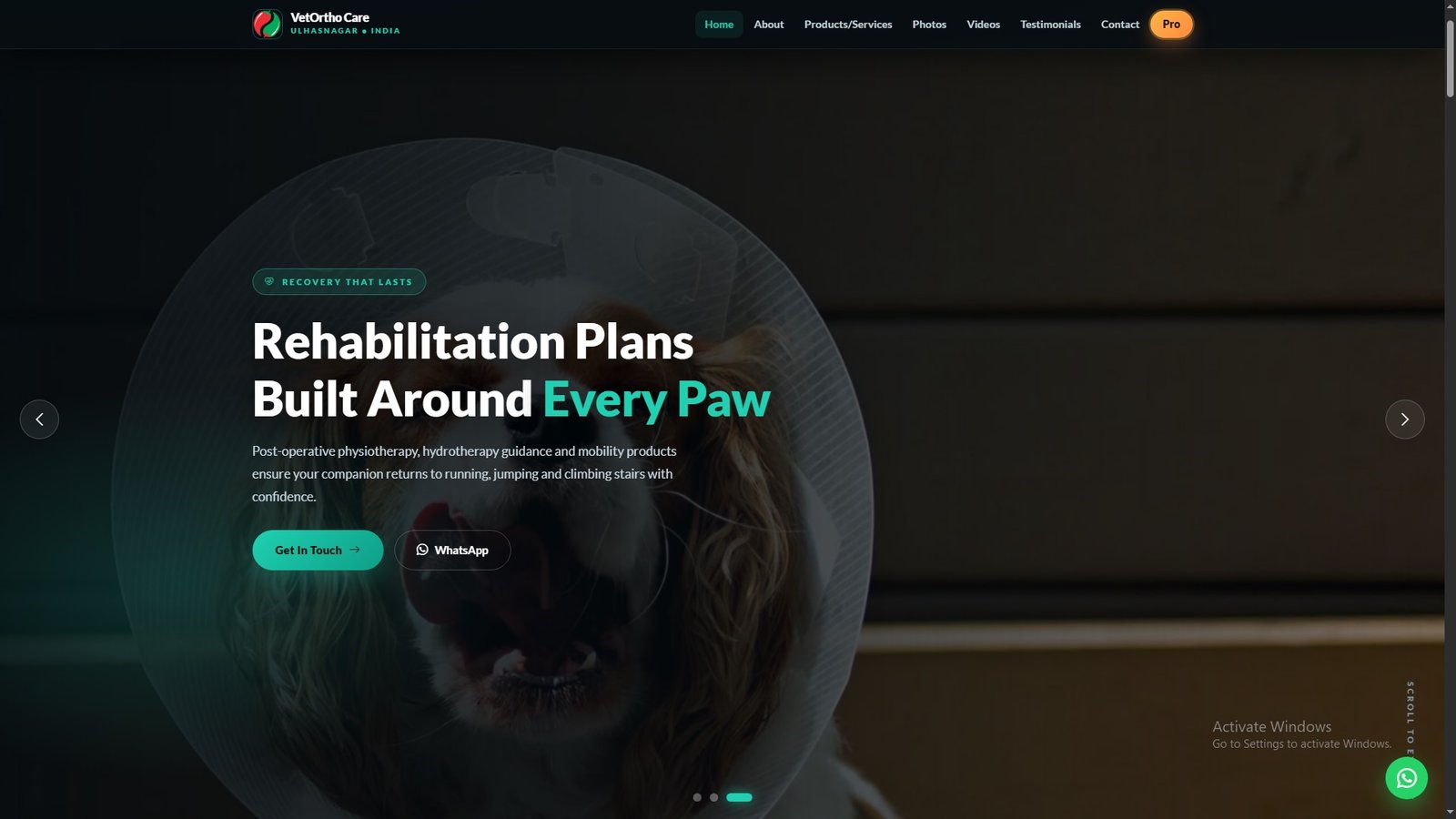 Veterinary Orthopedic Services